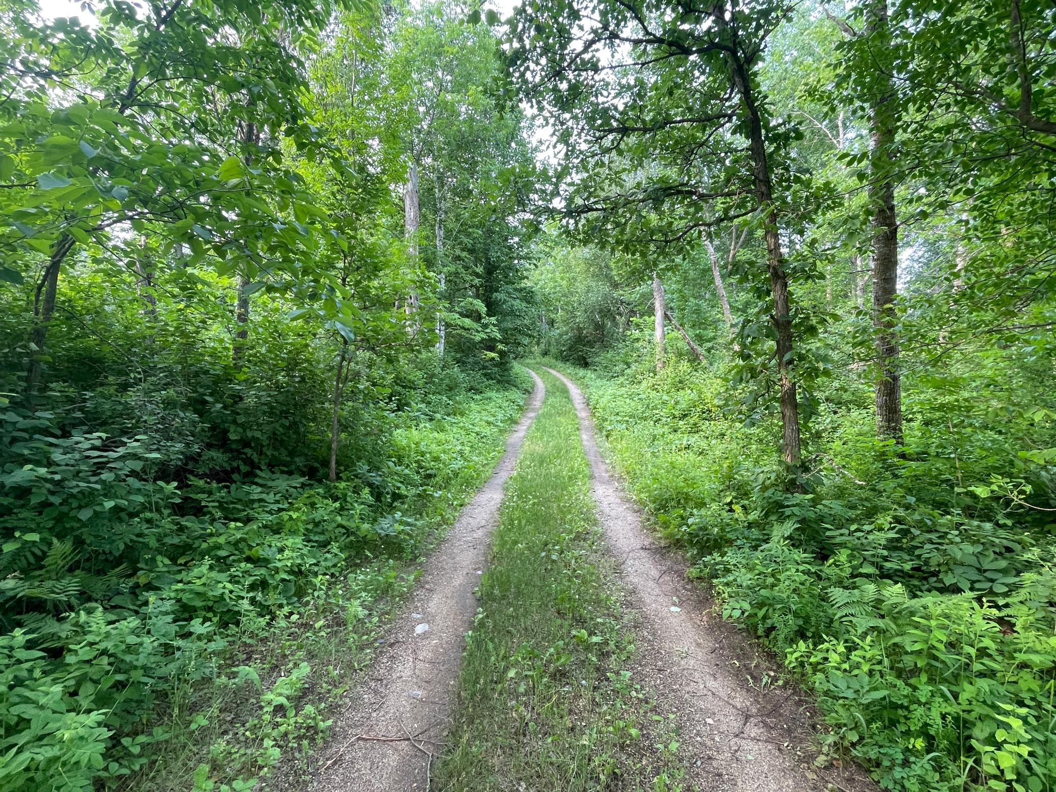 1991 land for sale at 38953 Ada Beach Road in Waubun, MN (photo 18 of 94)