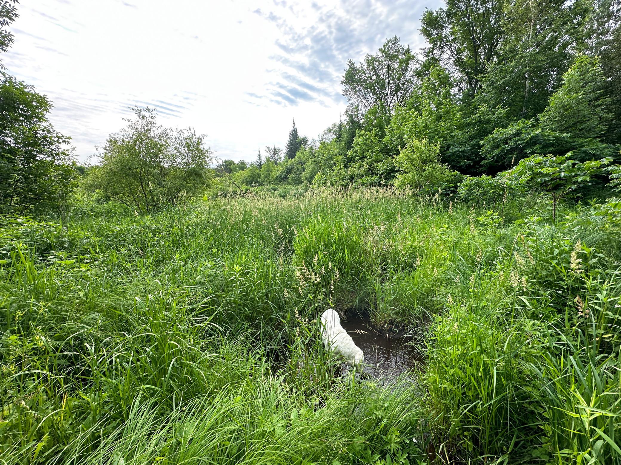 1991 land for sale at 38953 Ada Beach Road in Waubun, MN (photo 19 of 94)