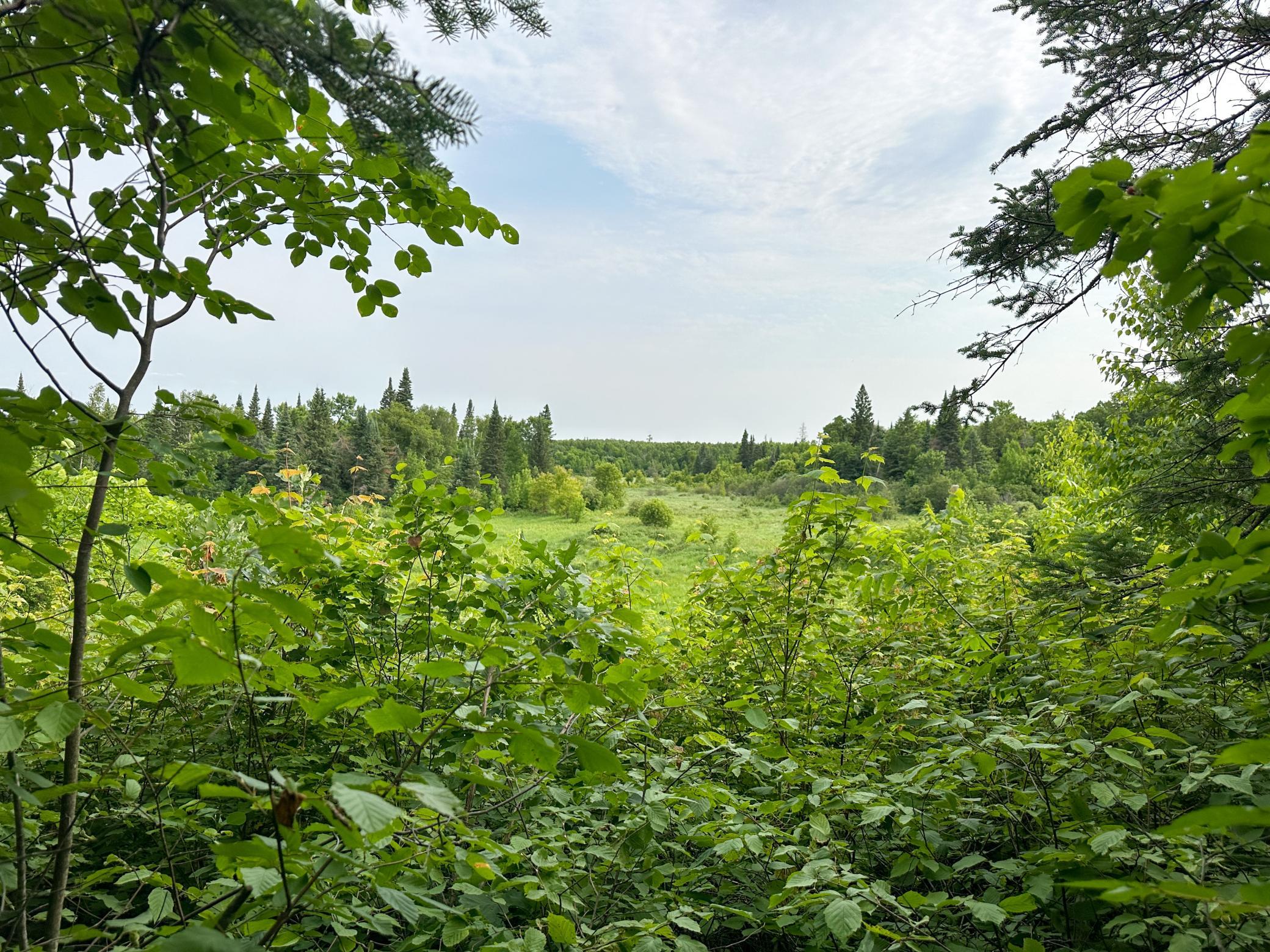 1991 land for sale at 38953 Ada Beach Road in Waubun, MN (photo 21 of 94)