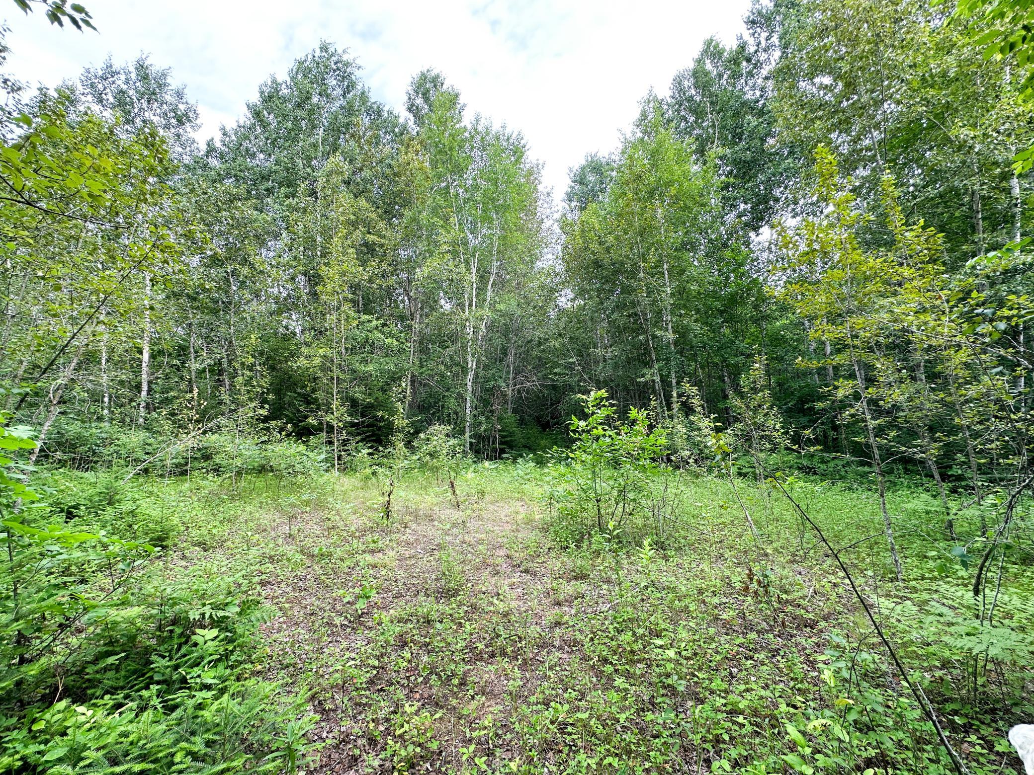 1991 land for sale at 38953 Ada Beach Road in Waubun, MN (photo 23 of 94)