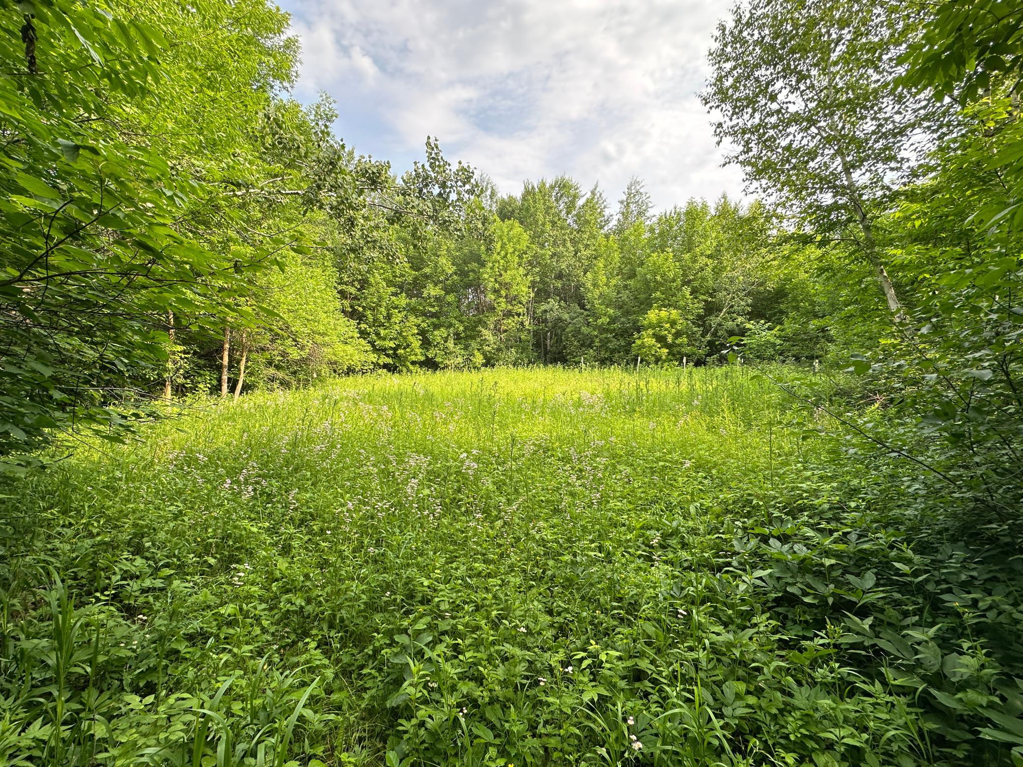 1991 land for sale at 38953 Ada Beach Road in Waubun, MN (photo 24 of 94)