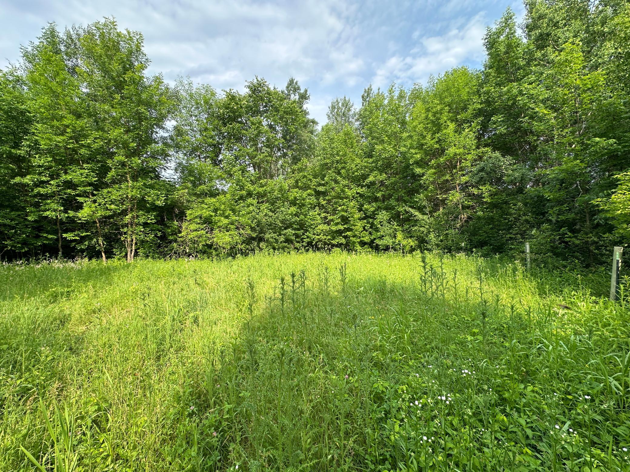 1991 land for sale at 38953 Ada Beach Road in Waubun, MN (photo 25 of 94)