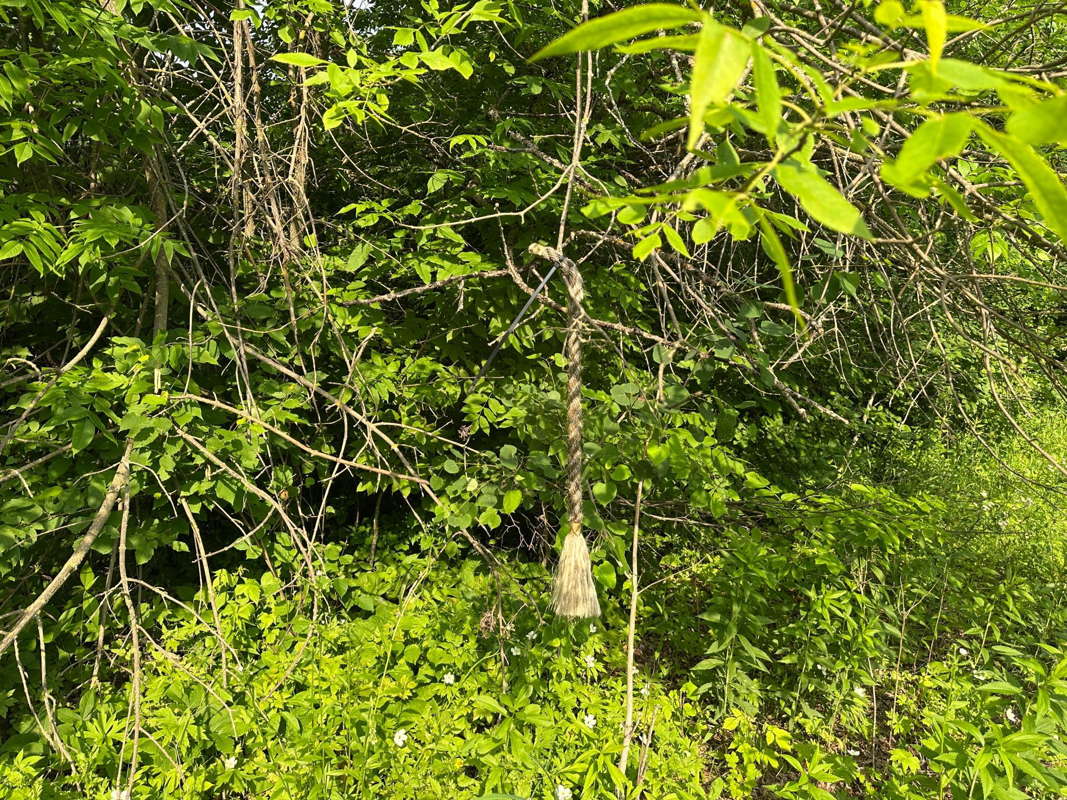 1991 land for sale at 38953 Ada Beach Road in Waubun, MN (photo 26 of 94)