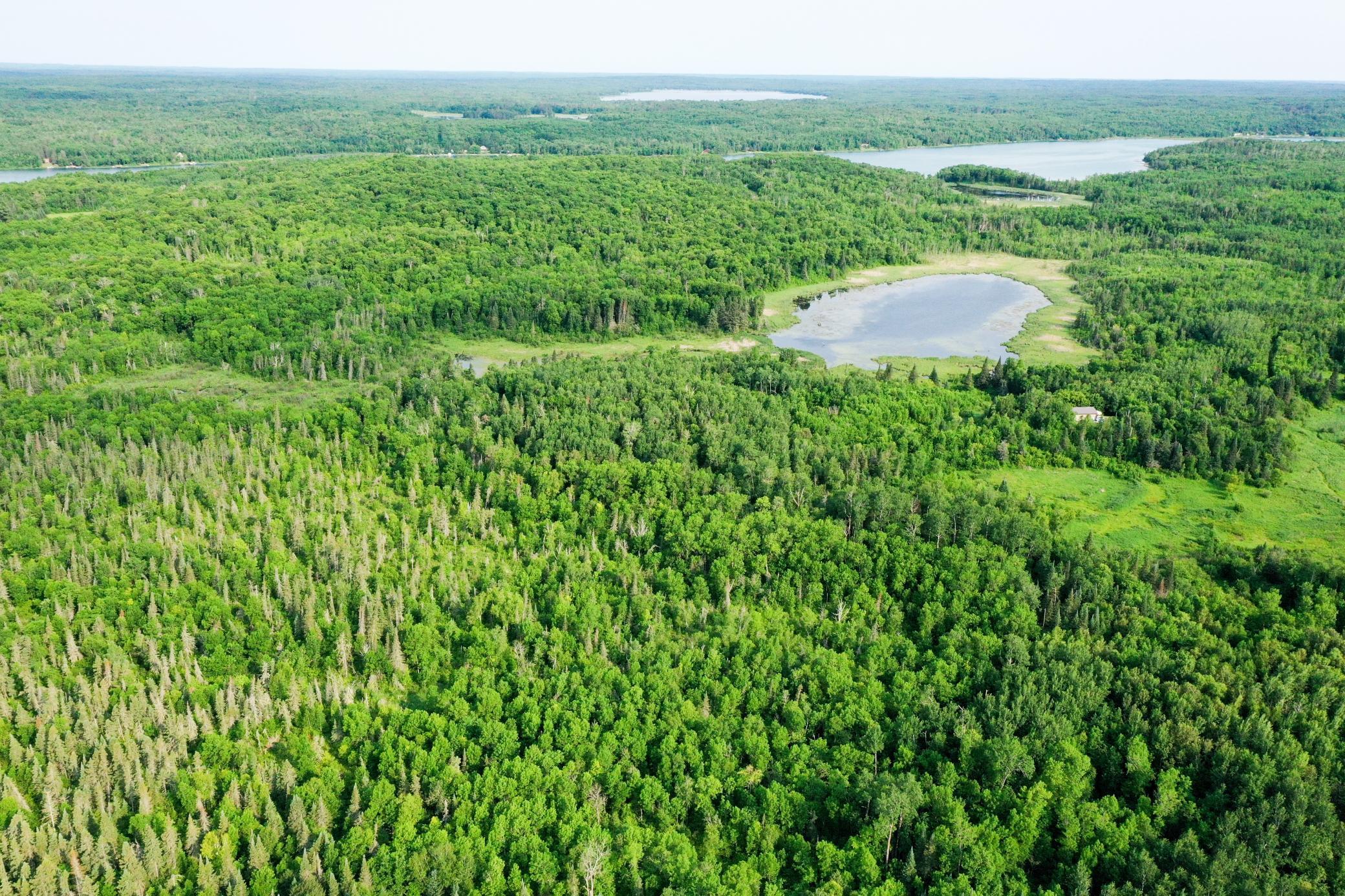 1991 land for sale at 38953 Ada Beach Road in Waubun, MN (photo 6 of 94)