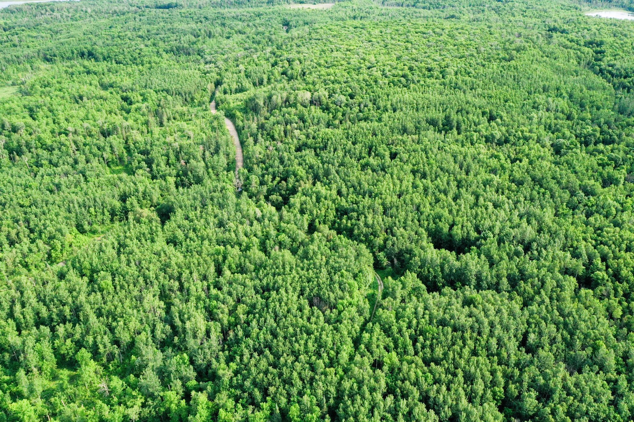 1991 land for sale at 38953 Ada Beach Road in Waubun, MN (photo 8 of 94)