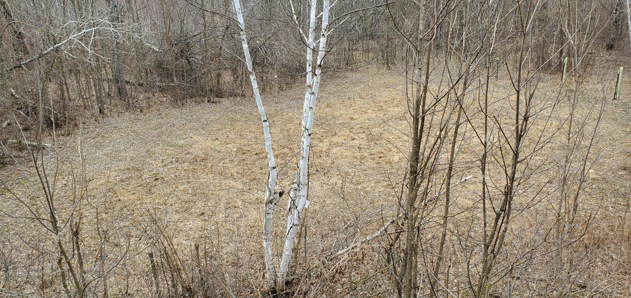 1991 land for sale at 38953 Ada Beach Road in Waubun, MN (photo 74 of 94)