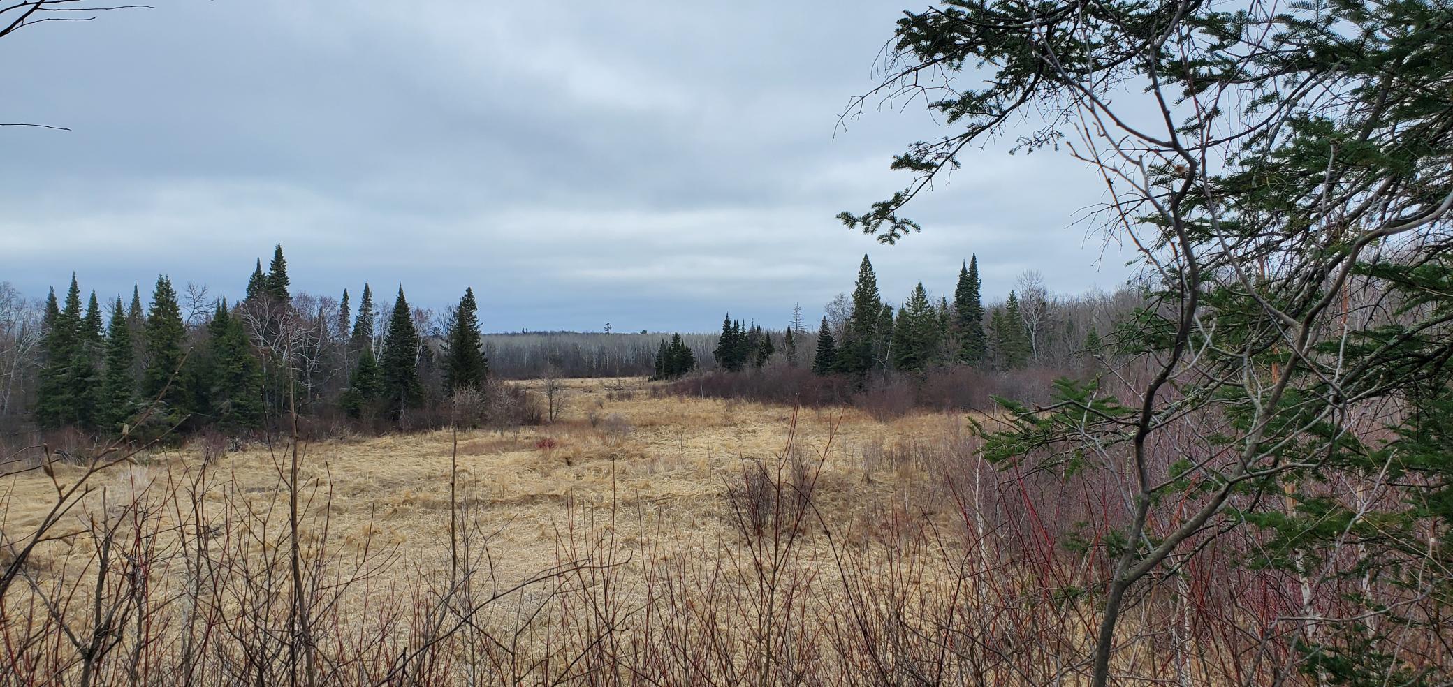 1991 land for sale at 38953 Ada Beach Road in Waubun, MN (photo 78 of 94)