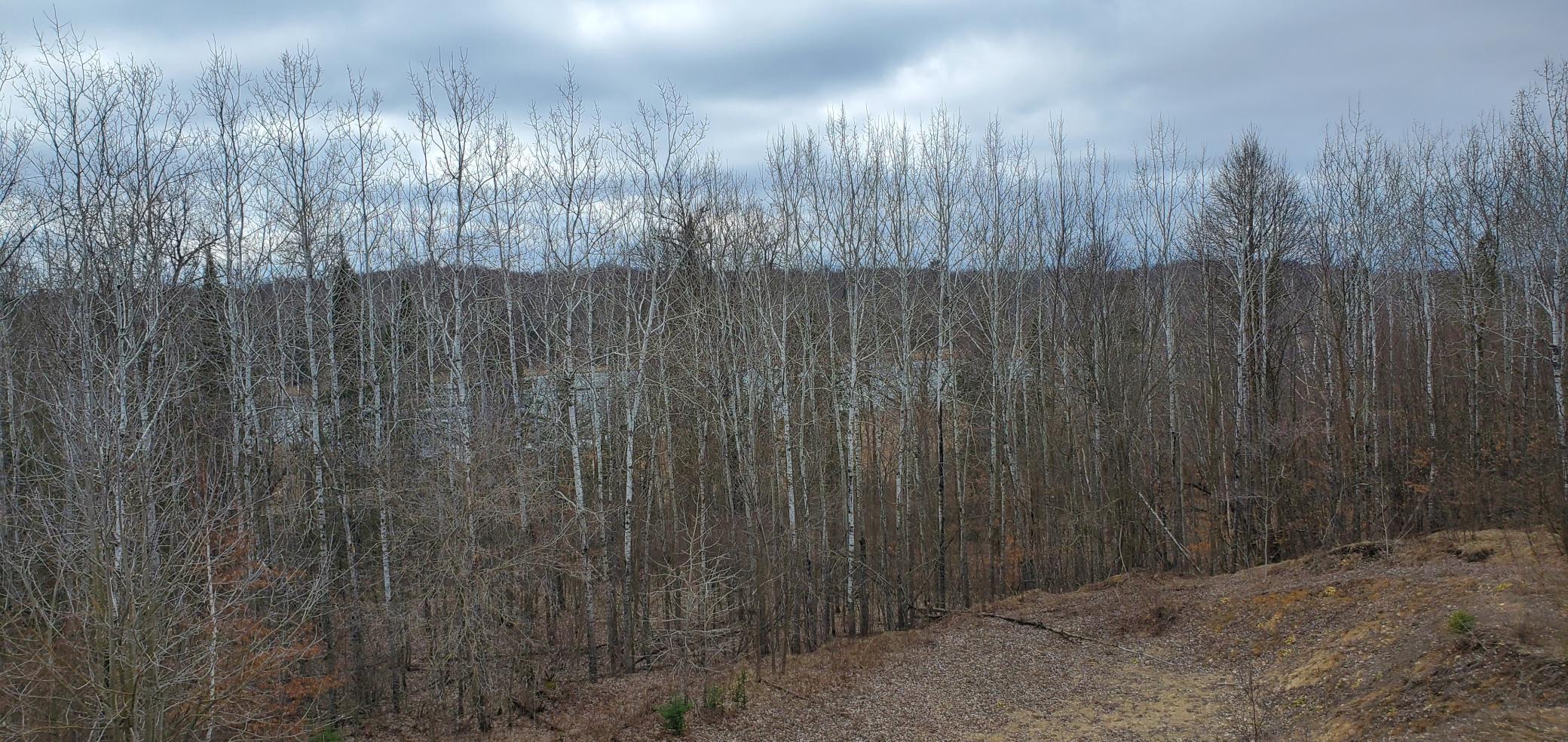 1991 land for sale at 38953 Ada Beach Road in Waubun, MN (photo 80 of 94)