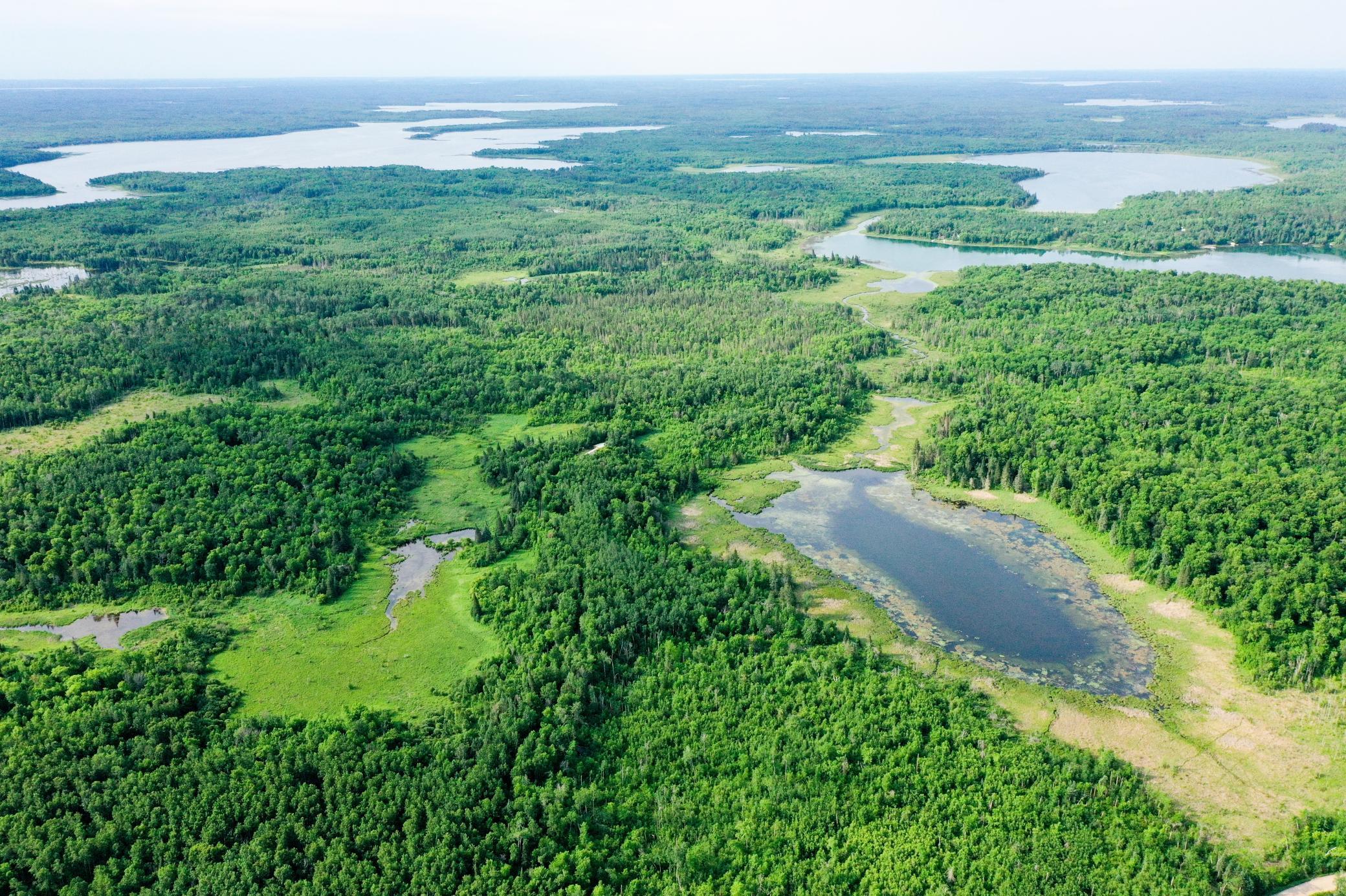 1991 land for sale at 38953 Ada Beach Road in Waubun, MN (photo 9 of 94)