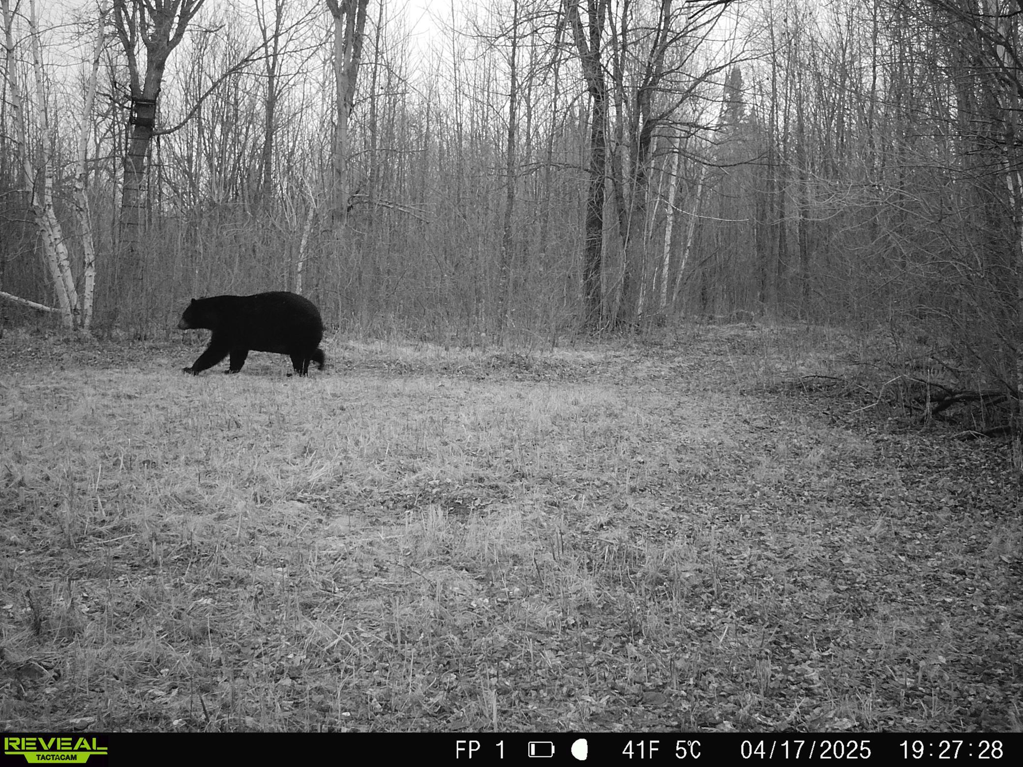 1991 land for sale at 38953 Ada Beach Road in Waubun, MN (photo 81 of 94)