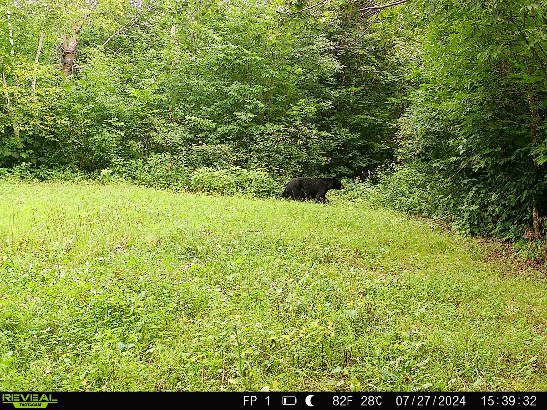 1991 land for sale at 38953 Ada Beach Road in Waubun, MN (photo 82 of 94)