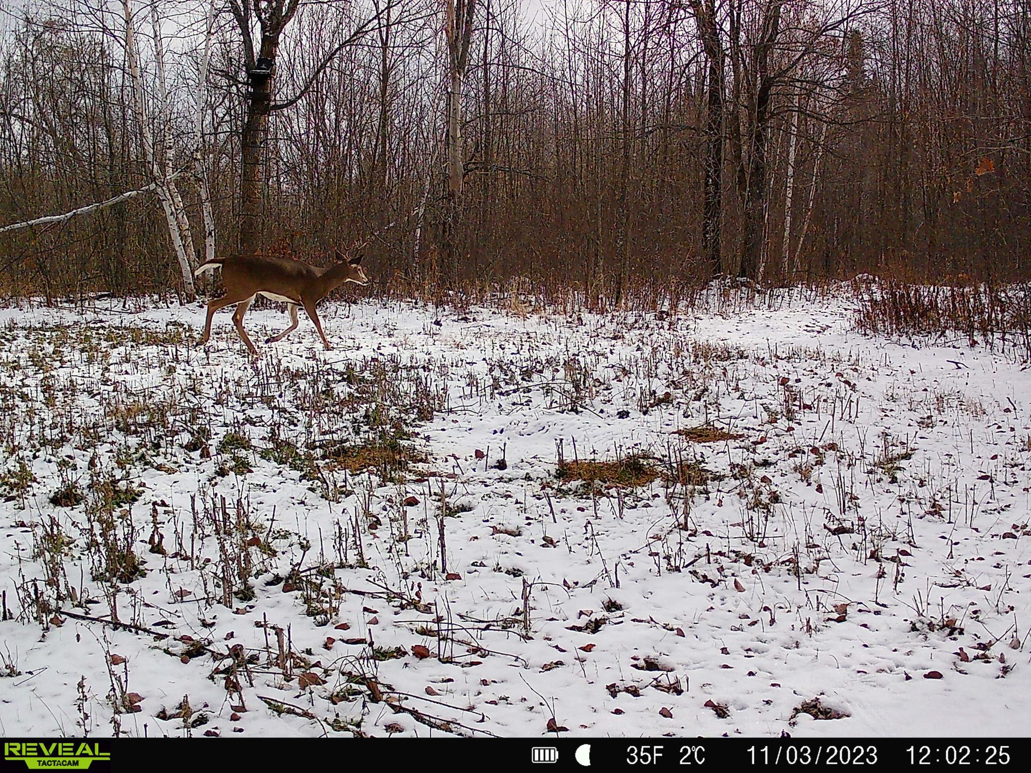 1991 land for sale at 38953 Ada Beach Road in Waubun, MN (photo 83 of 94)