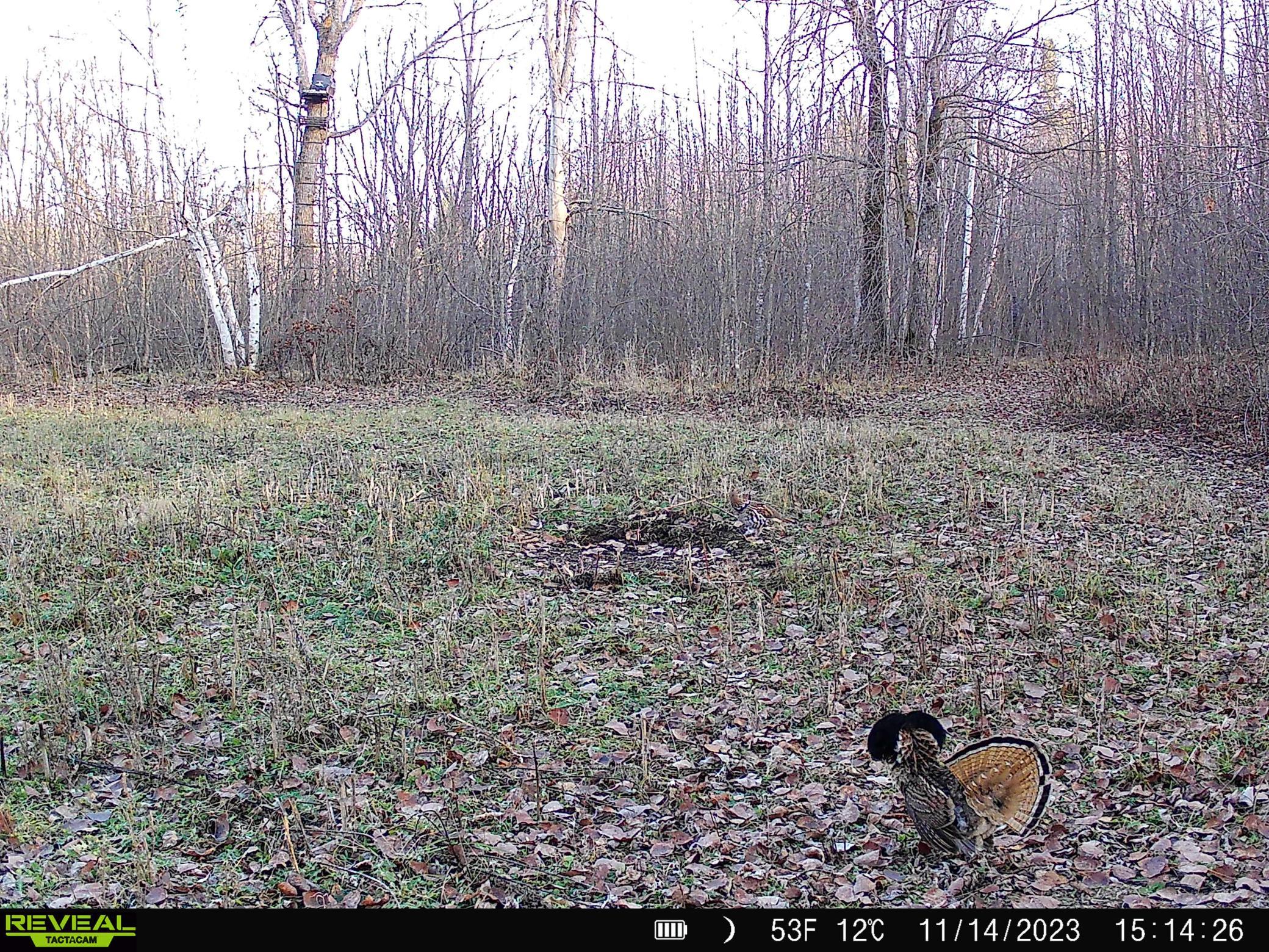 1991 land for sale at 38953 Ada Beach Road in Waubun, MN (photo 86 of 94)
