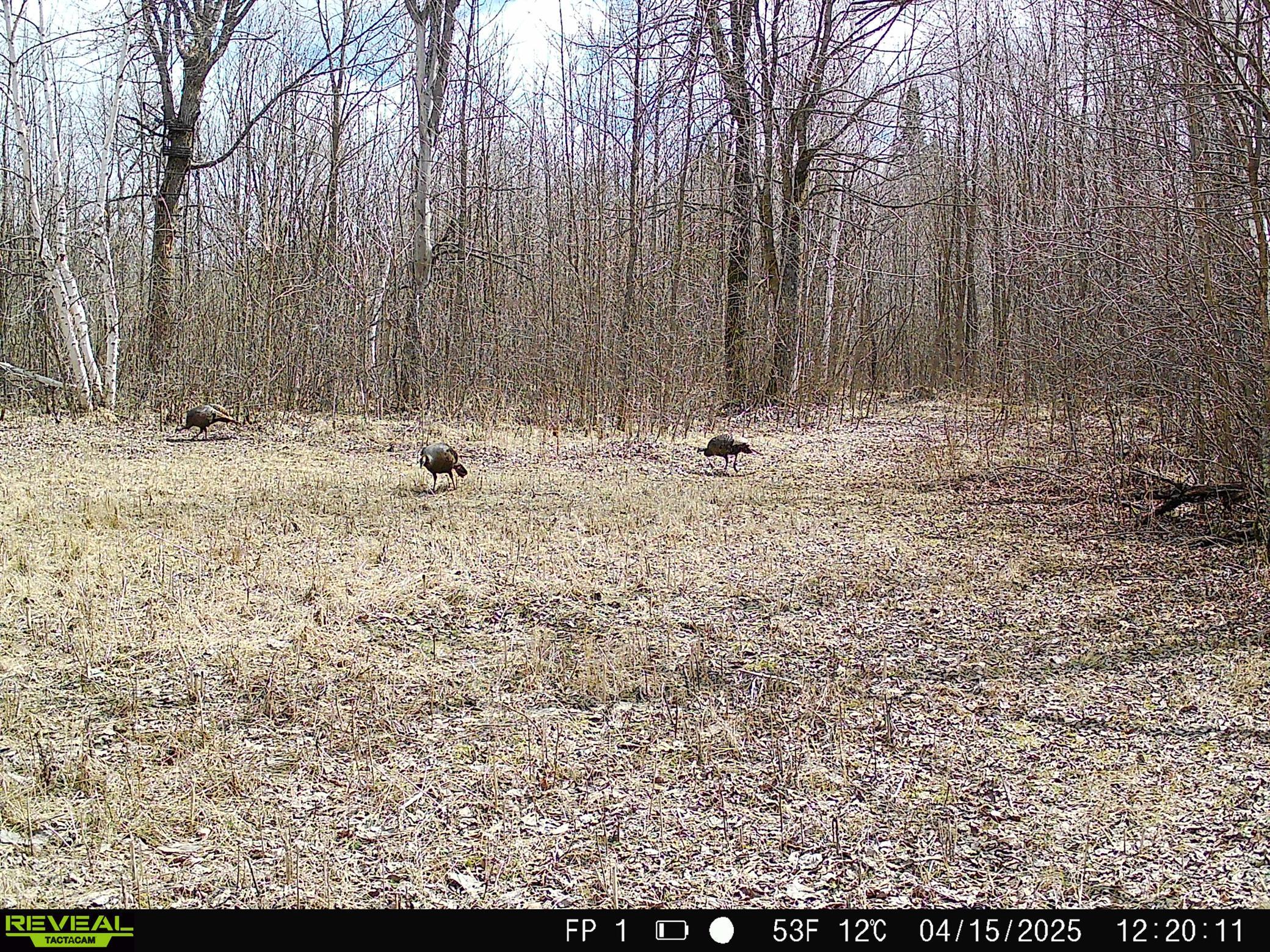 1991 land for sale at 38953 Ada Beach Road in Waubun, MN (photo 88 of 94)