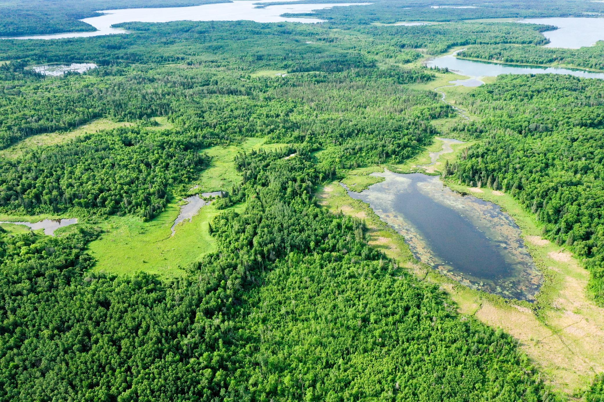 1991 land for sale at 38953 Ada Beach Road in Waubun, MN (photo 10 of 94)