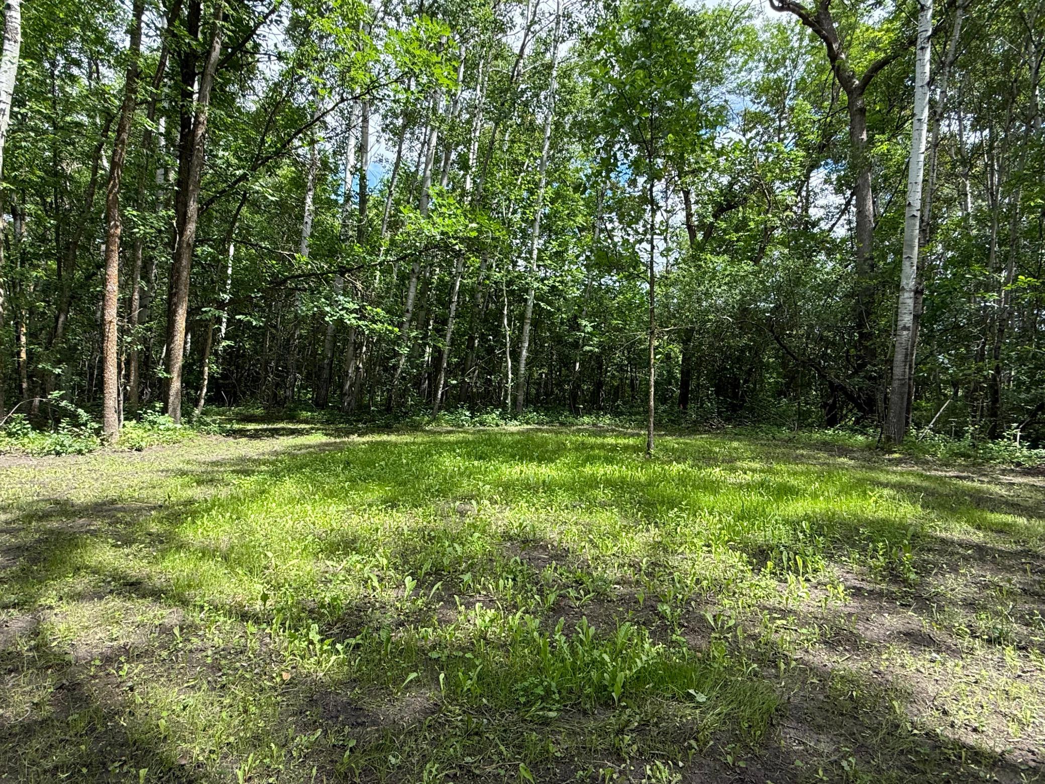 59256 340th Street, Warroad MN 56763 - Photo 20 of 21