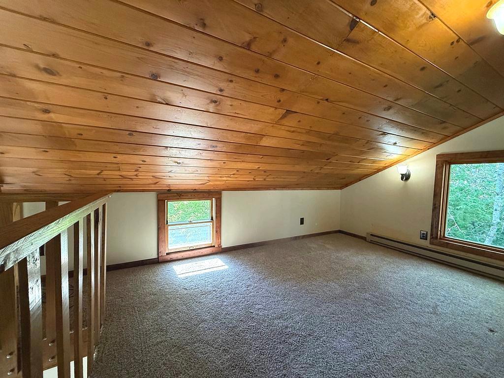 1007 Spruce Lane, Park Rapids MN 56470 - Photo 23 of 39