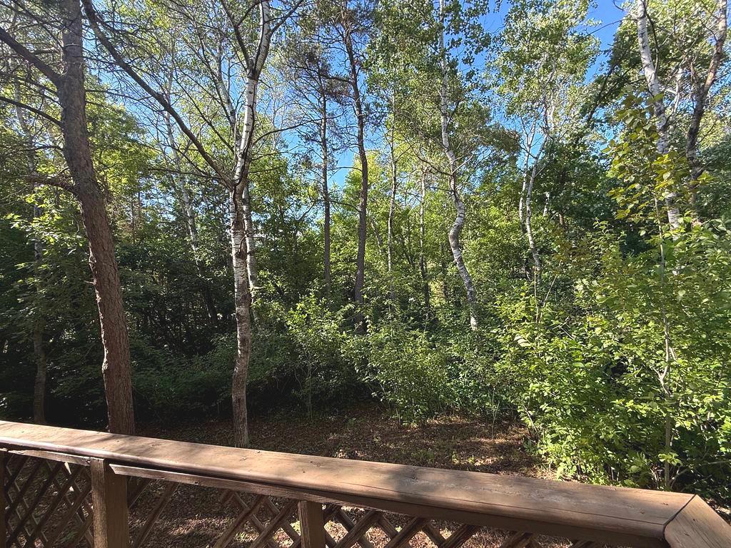 1007 Spruce Lane, Park Rapids MN 56470 - Photo 4 of 39