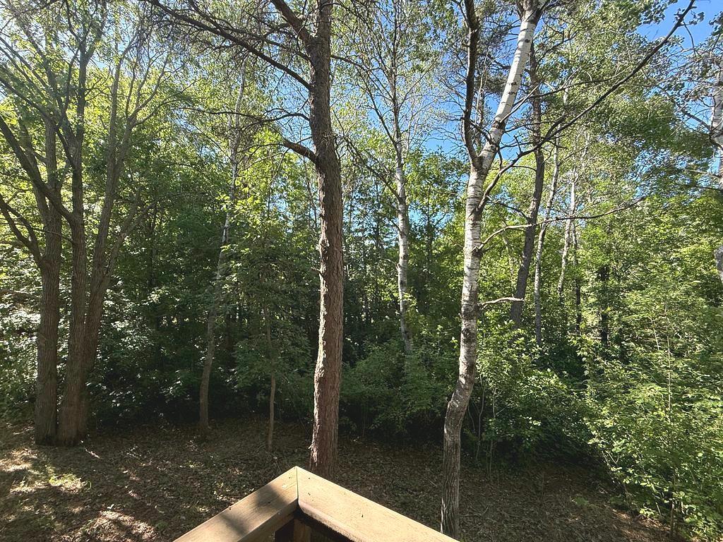 1007 Spruce Lane, Park Rapids MN 56470 - Photo 38 of 39