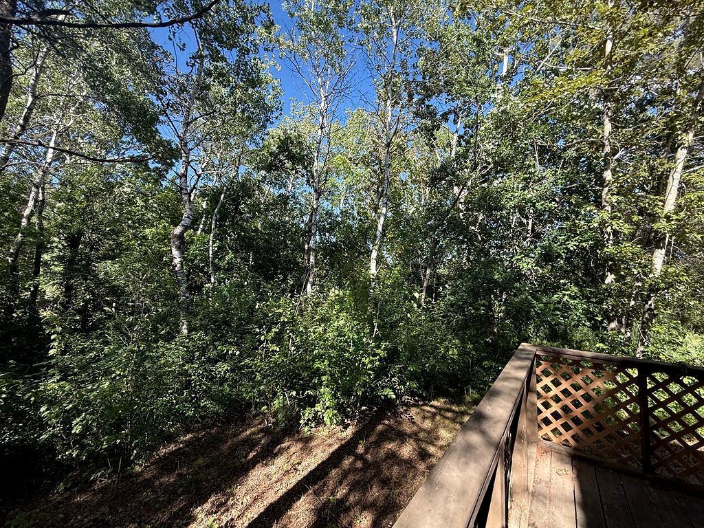 1007 Spruce Lane, Park Rapids MN 56470 - Photo 39 of 39