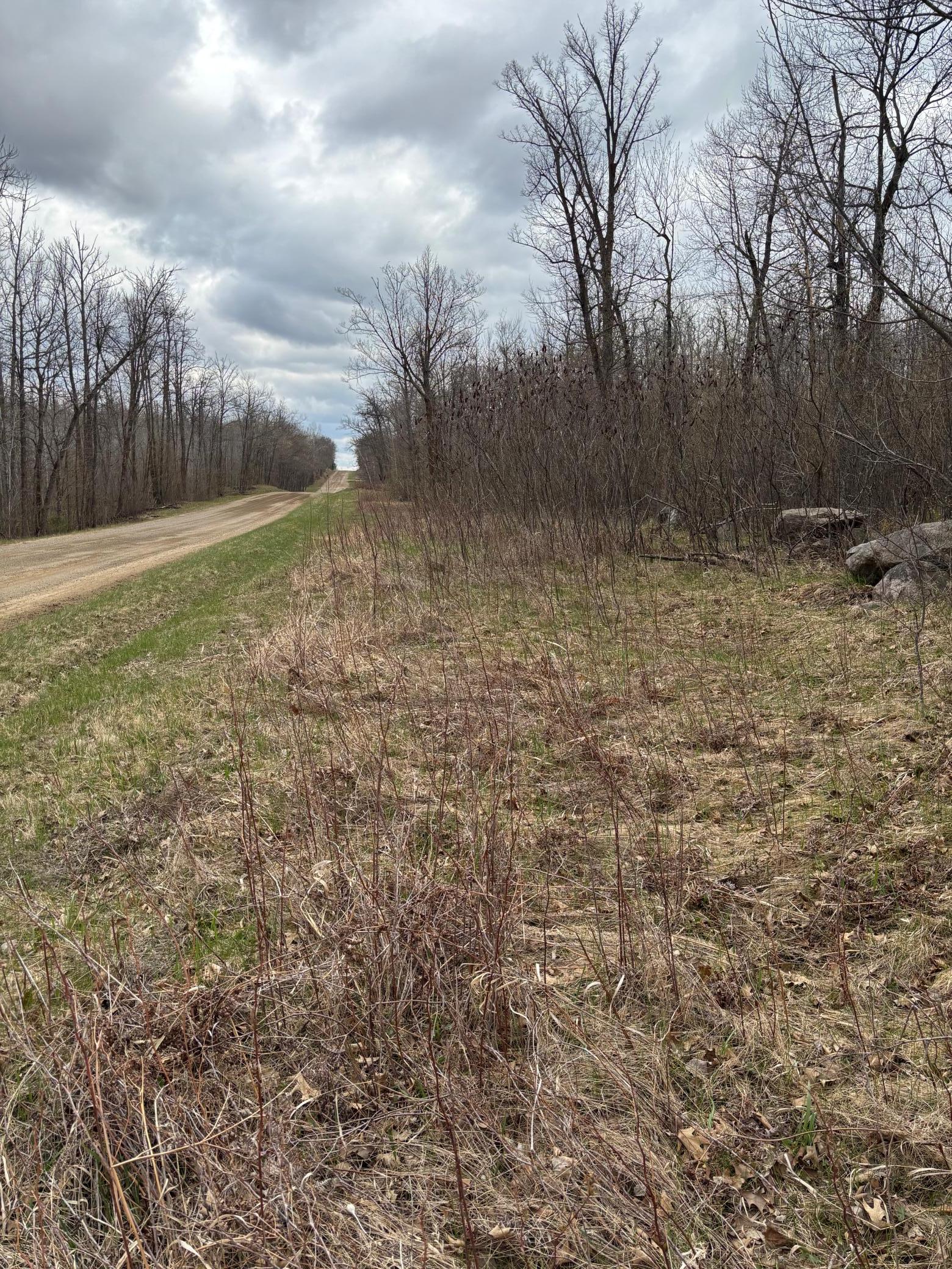 39987 Cass Line Road, Laporte MN 56461 - Photo 6 of 7