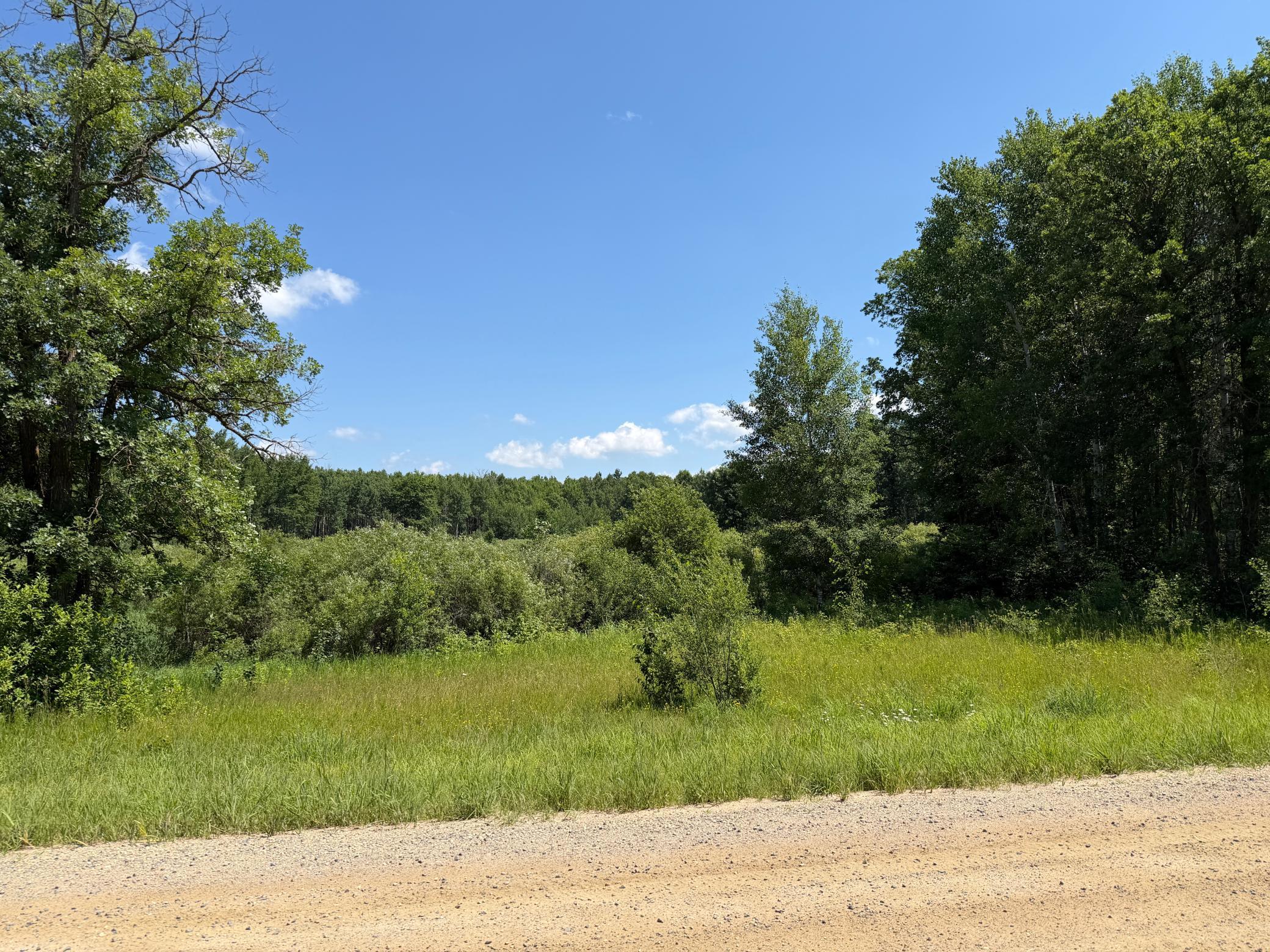 TBD County 95, Laporte MN 56461 - Photo 3 of 9