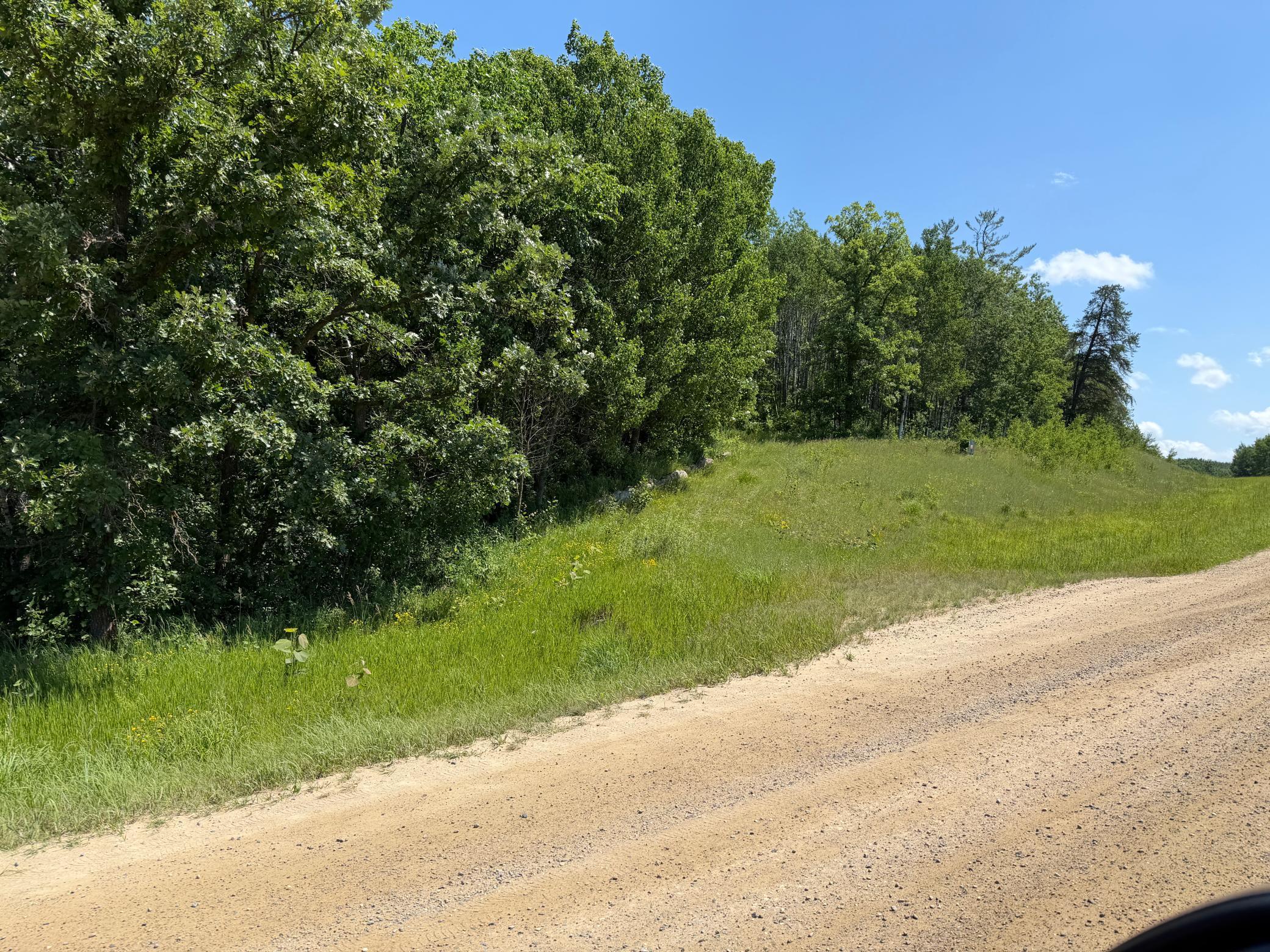 TBD County 95, Laporte MN 56461 - Photo 4 of 9