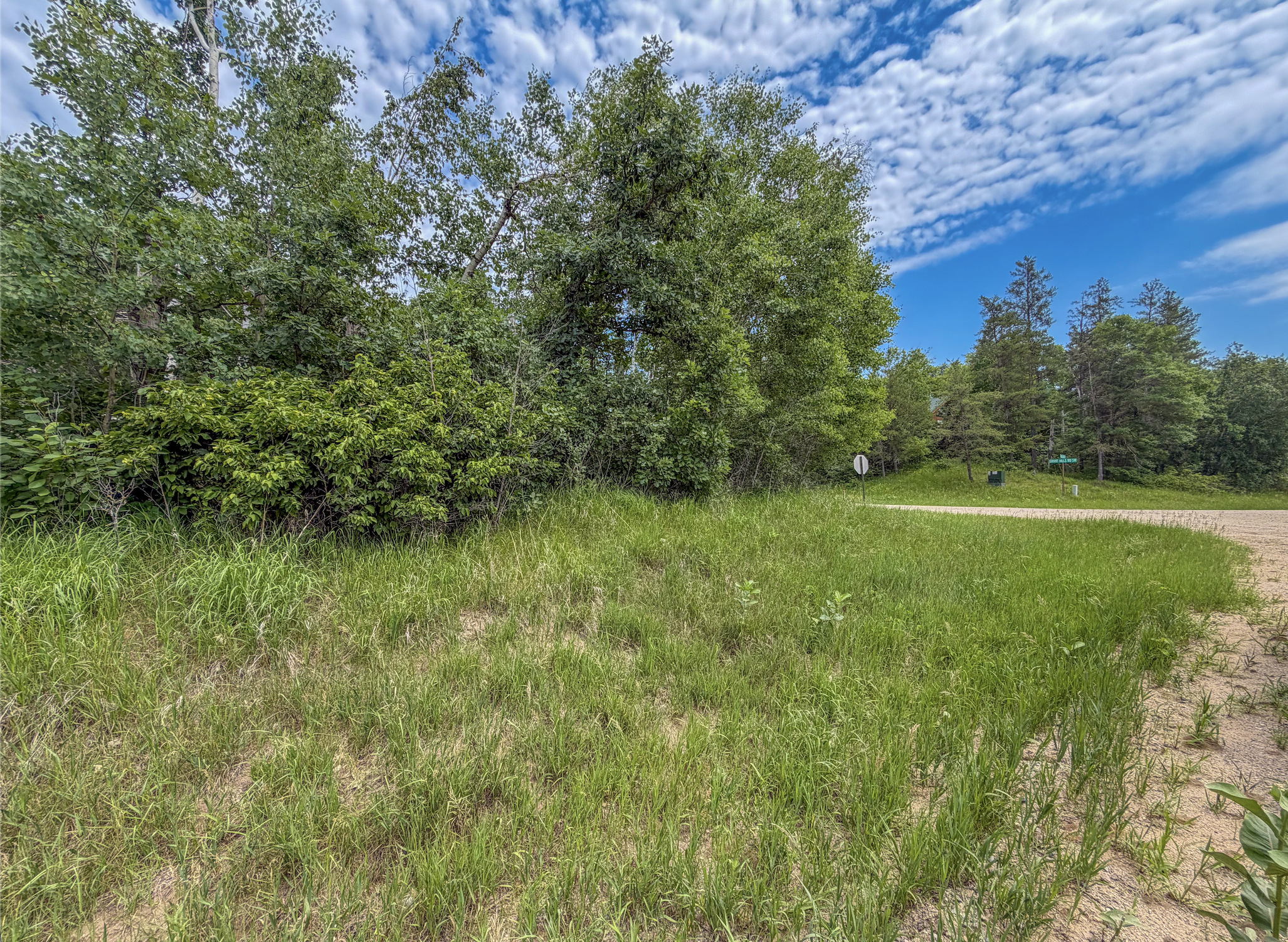 TBD Grant Hills Road SW, Bemidji MN 56601 - Photo 5 of 9
