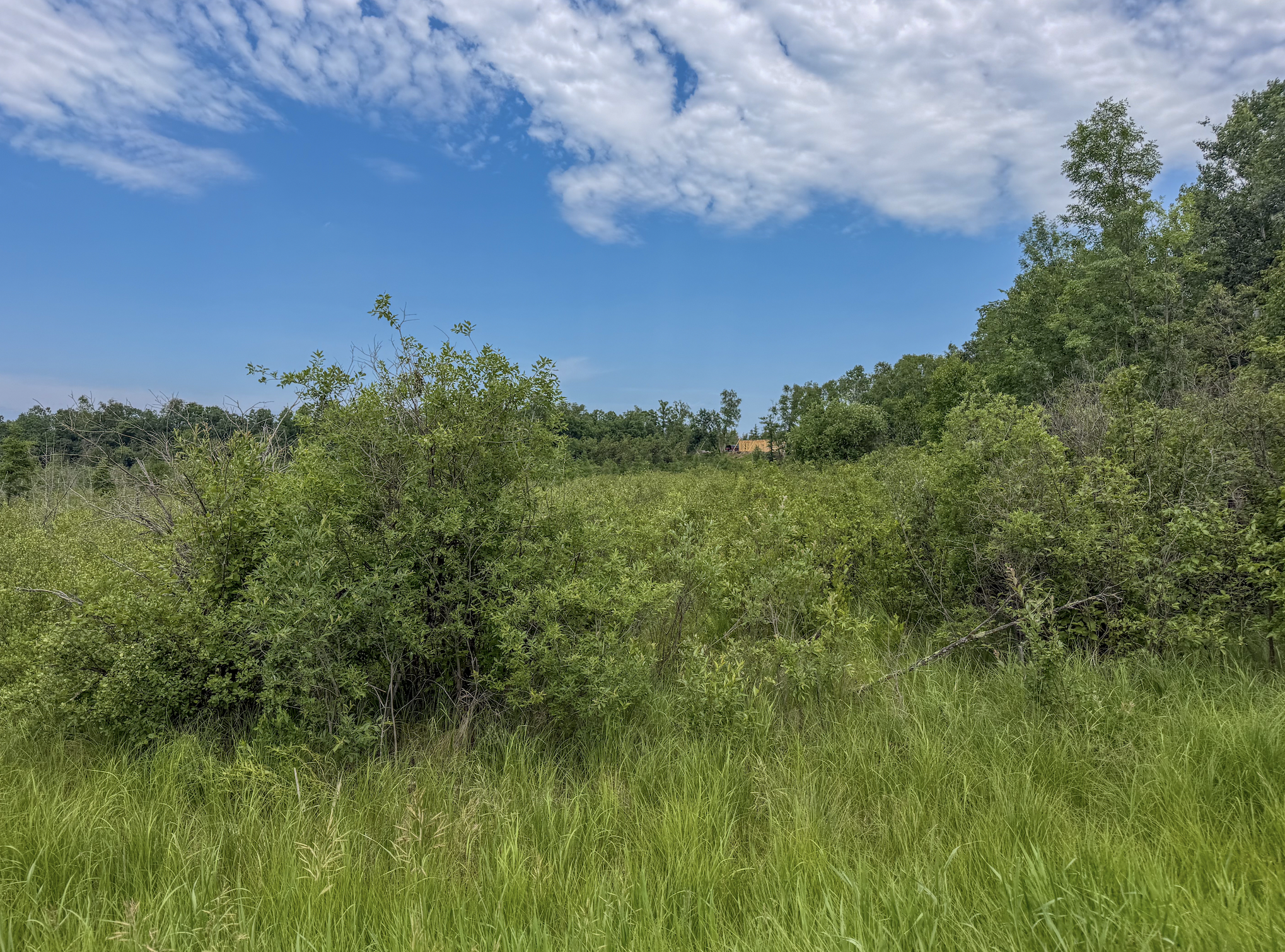 TBD Grant Hills Road SW, Bemidji MN 56601 - Photo 6 of 9