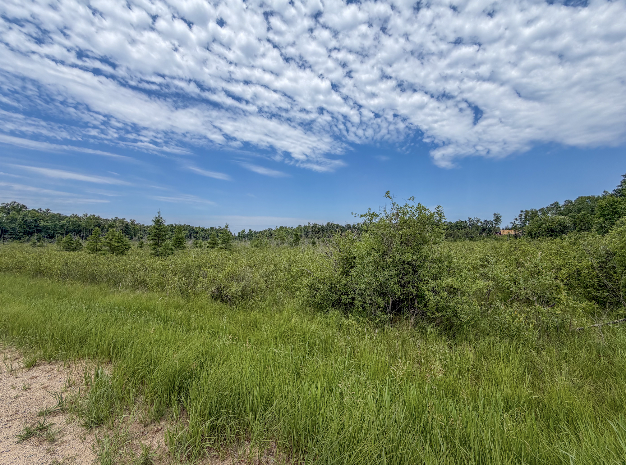 TBD Grant Hills Road SW, Bemidji MN 56601 - Photo 7 of 9