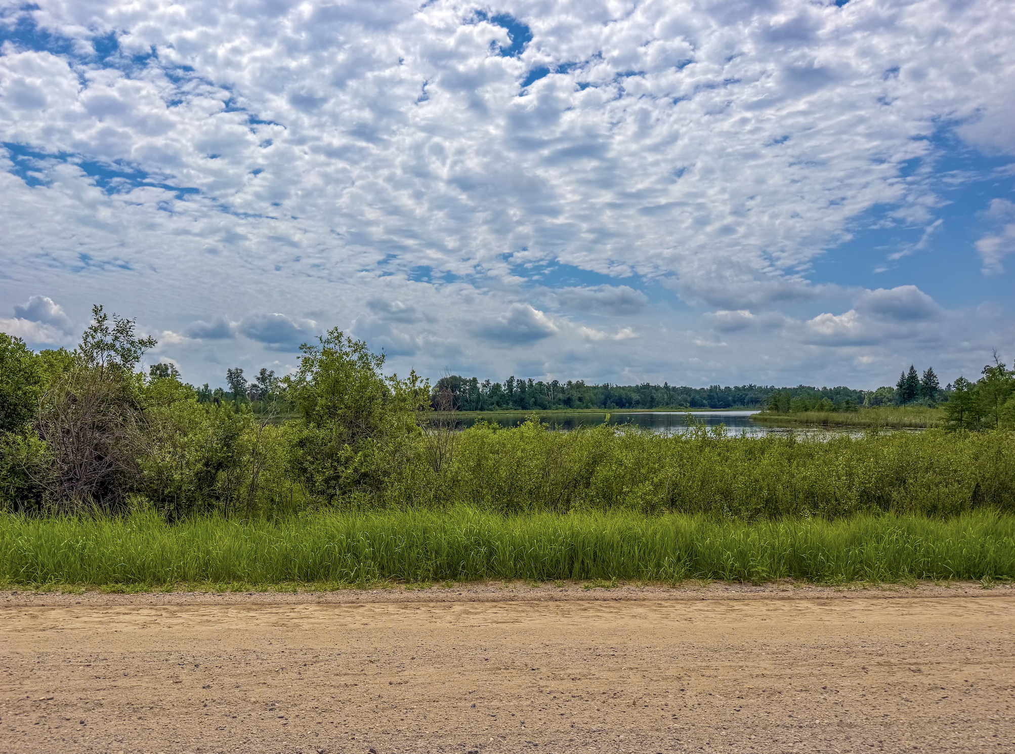 TBD Grant Hills Road SW, Bemidji MN 56601 - Photo 8 of 9