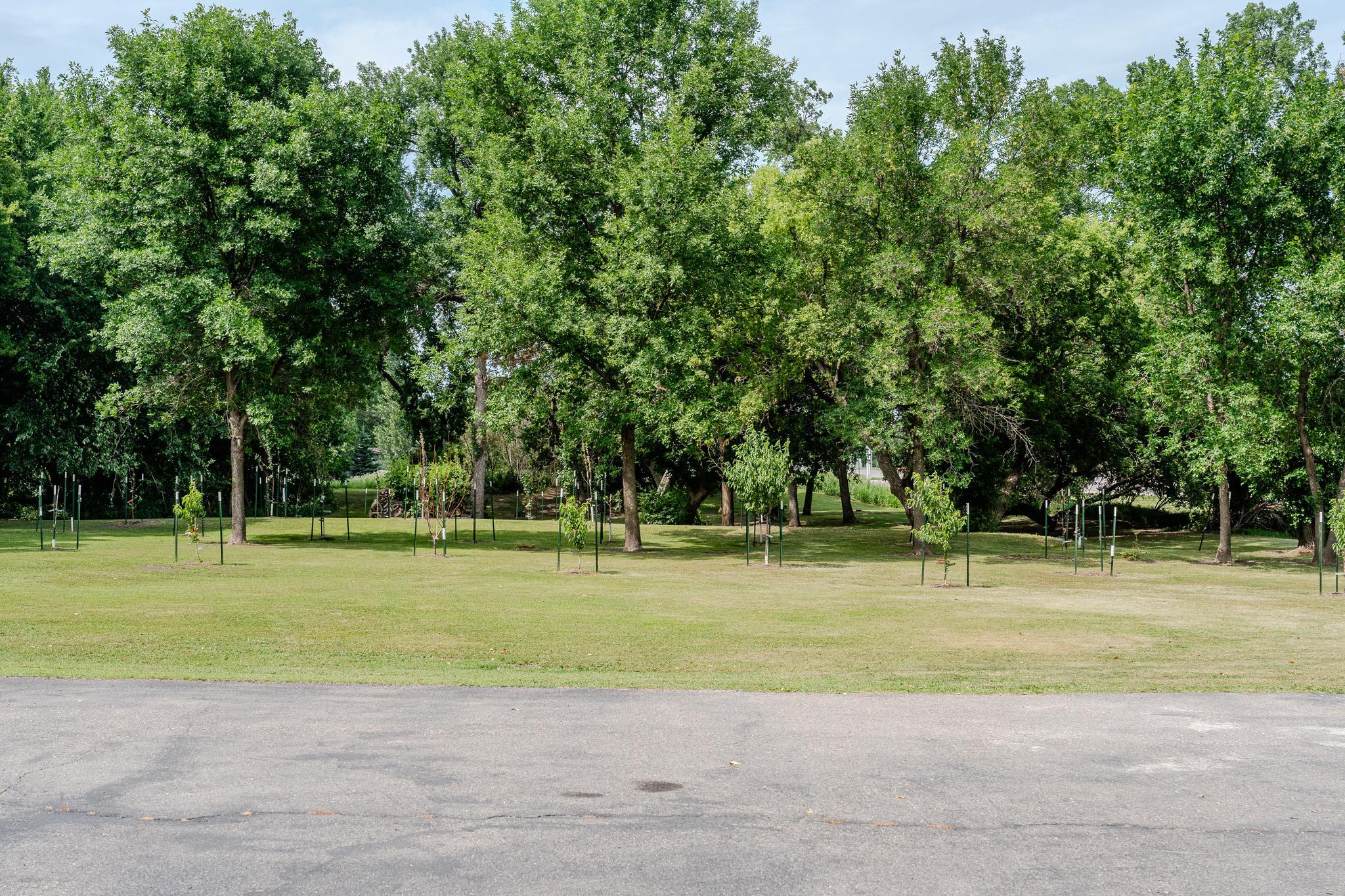 6409 County Road 17 S, Horace ND 58047 - Photo 58 of 83