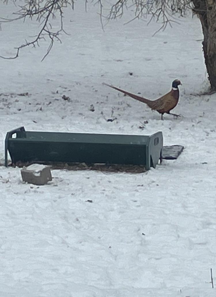6409 County Road 17 S, Horace ND 58047 - Photo 73 of 83