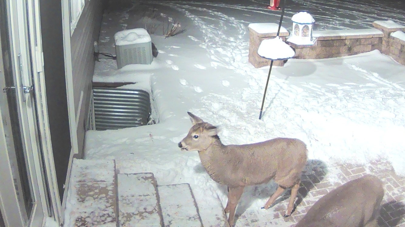 6409 County Road 17 S, Horace ND 58047 - Photo 76 of 83
