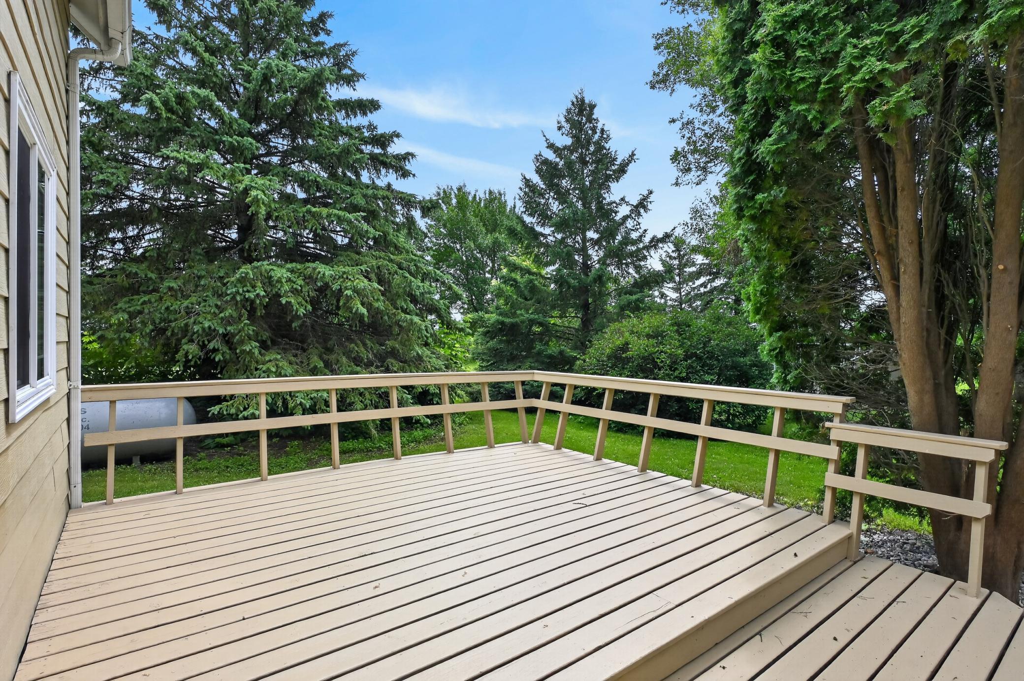 1920 single family home for sale at 105 Anderson Street in Brandon, MN — 3 bed, 2 bath (photo 41 of 55)