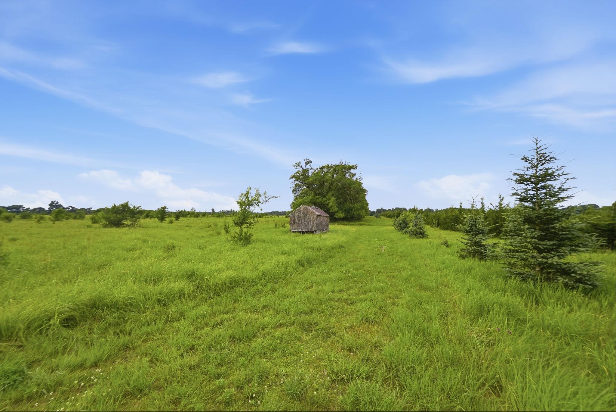 9397 County Road 3 NE, Carlos MN 56319 - Photo 68 of 73