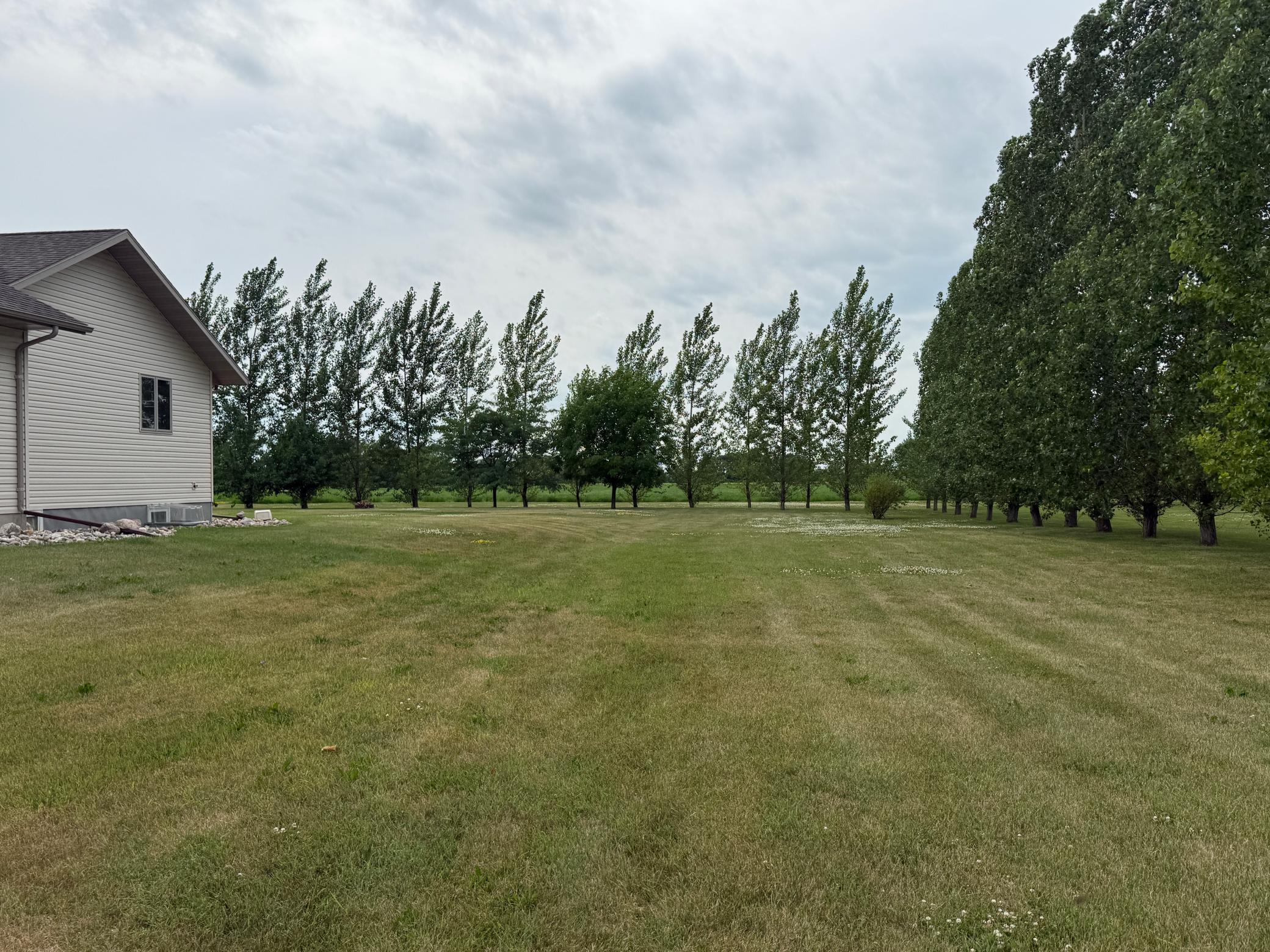 2005 single family home for sale at 703 7th Street W in Ada, MN — 4 bed, 3 bath (photo 5 of 41)