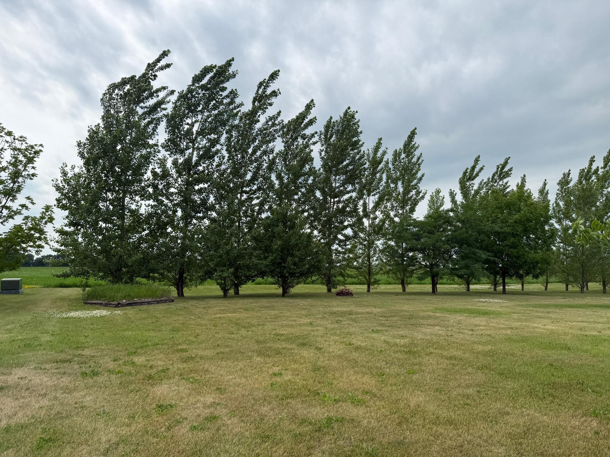 2005 single family home for sale at 703 7th Street W in Ada, MN — 4 bed, 3 bath (photo 8 of 41)