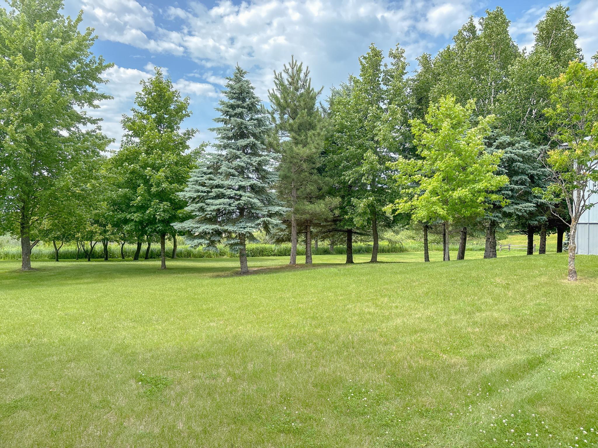 33846 N Pickerel Drive, Richville MN 56576 - Photo 63 of 77