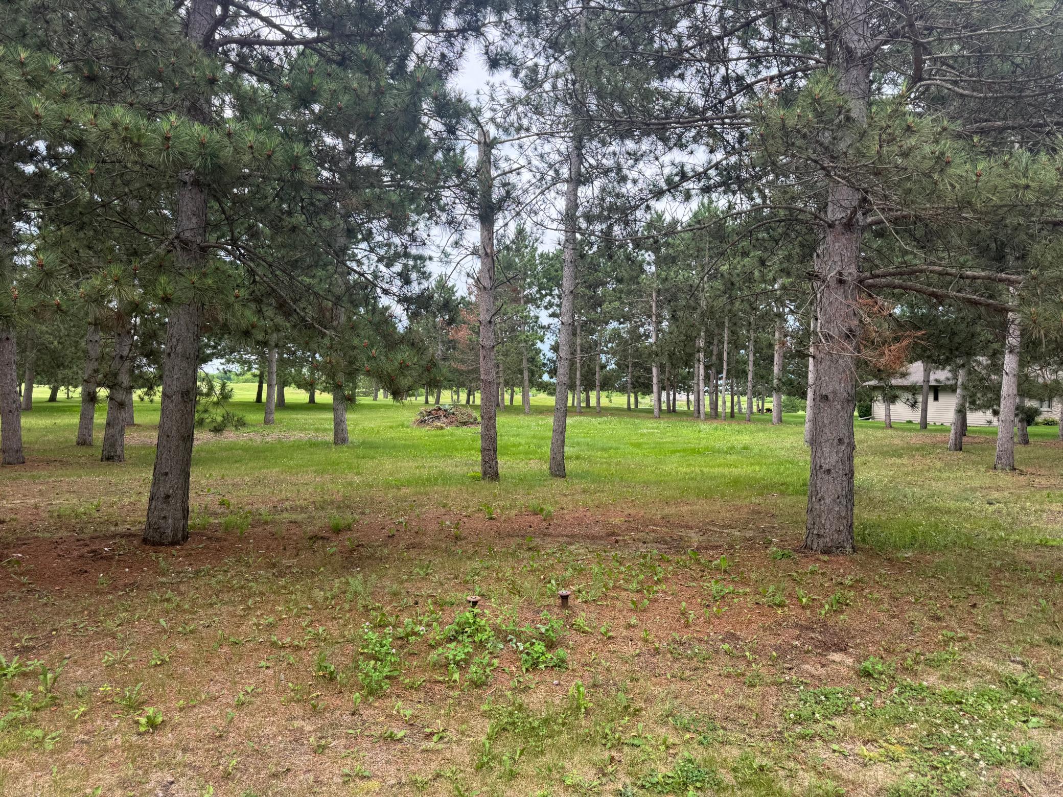 land for sale at 430 Thumper Lodge Road in Ottertail, MN (photo 3 of 12)