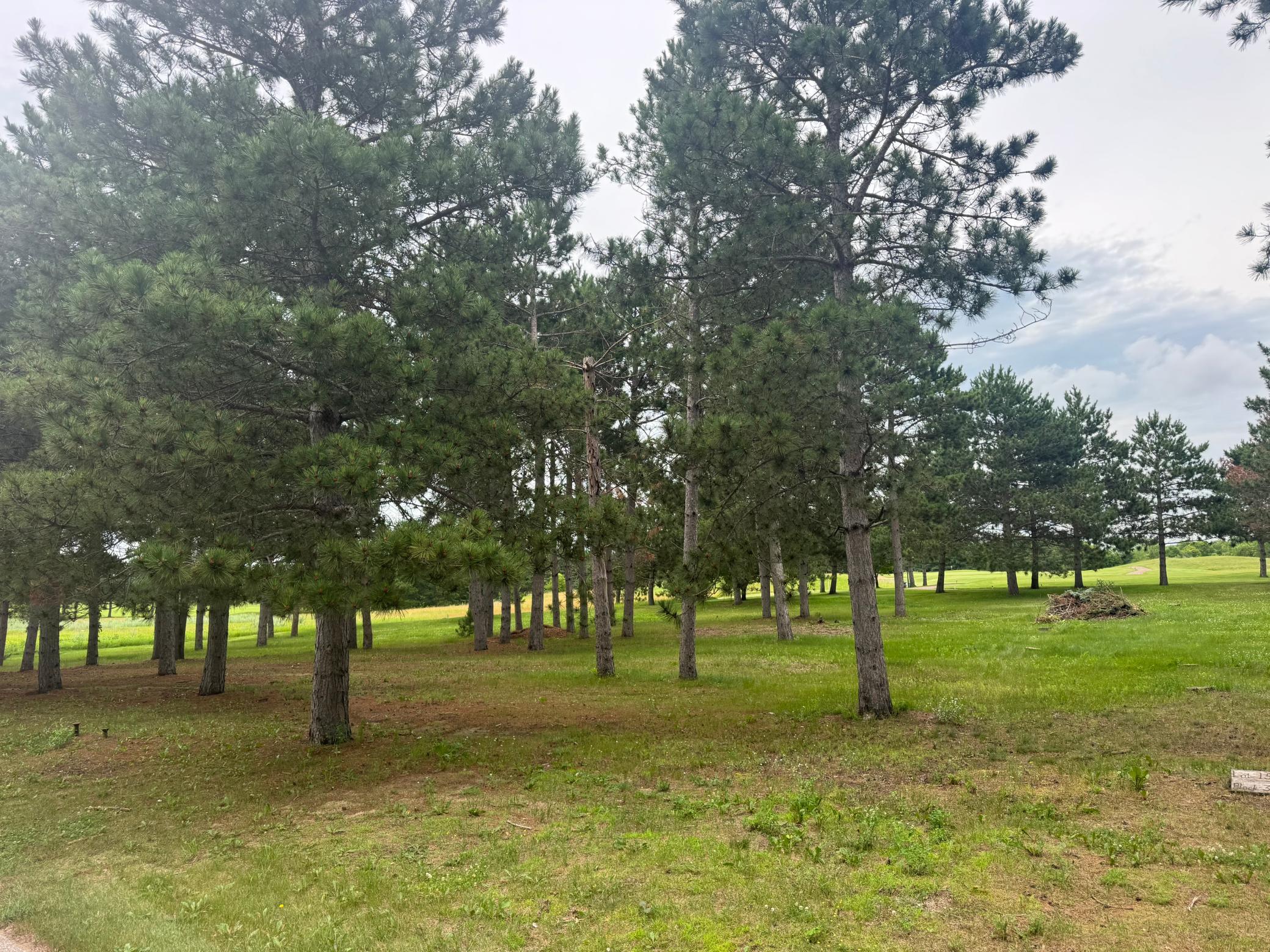 land for sale at 430 Thumper Lodge Road in Ottertail, MN (photo 6 of 12)