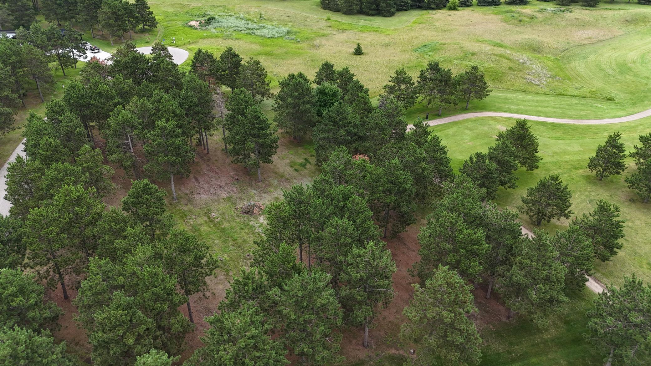 land for sale at 430 Thumper Lodge Road in Ottertail, MN (photo 8 of 12)