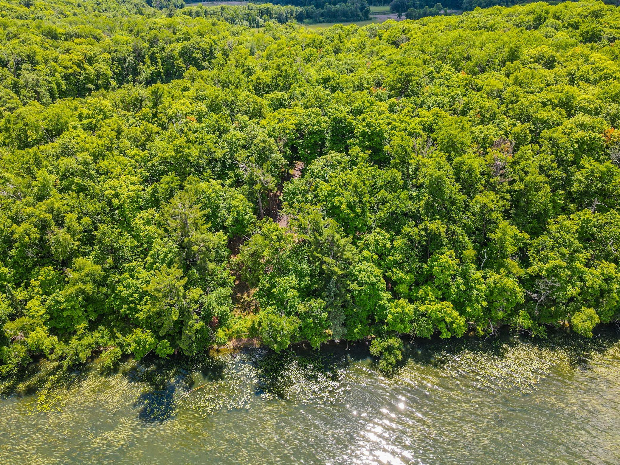 land for sale at 44698 Idas Road in Osage, MN (photo 2 of 18)