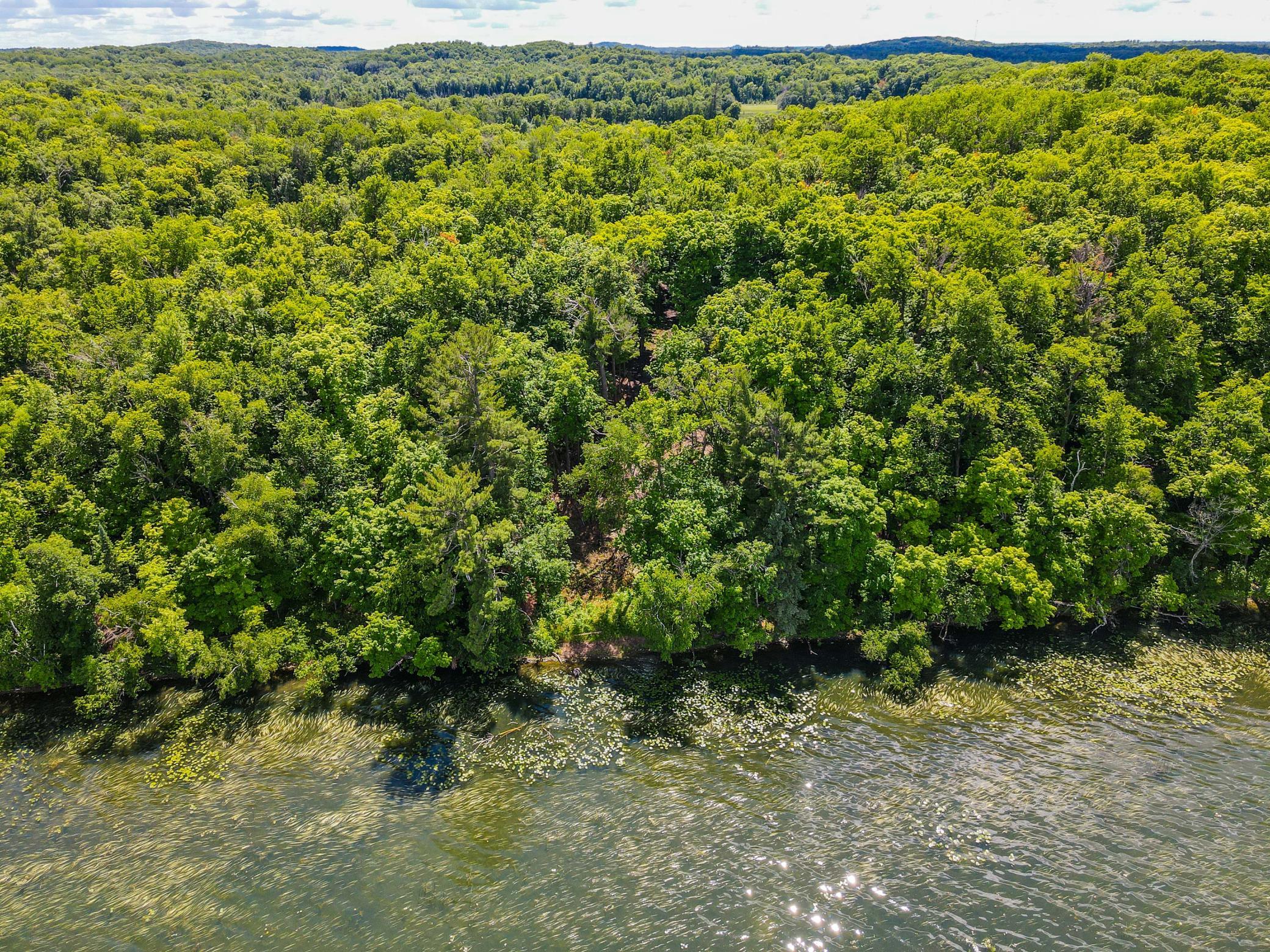44698 Idas Road, Osage MN 56570 - Photo 4 of 8