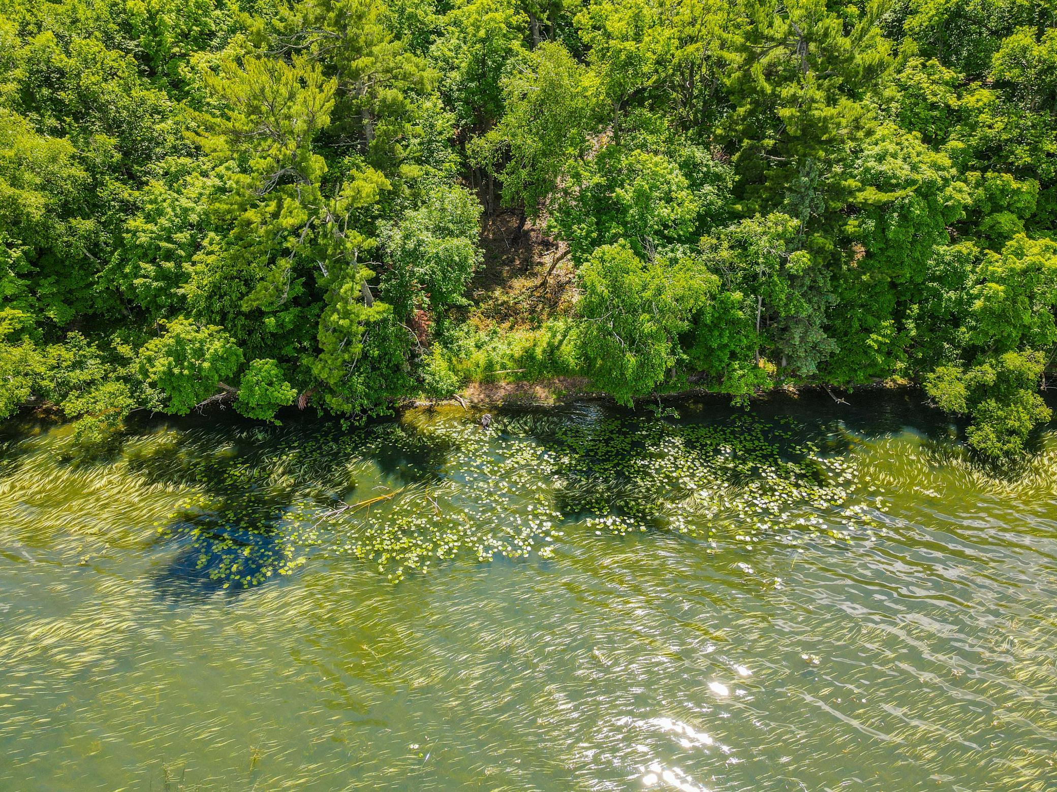 44698 Idas Road, Osage MN 56570 - Photo 5 of 8
