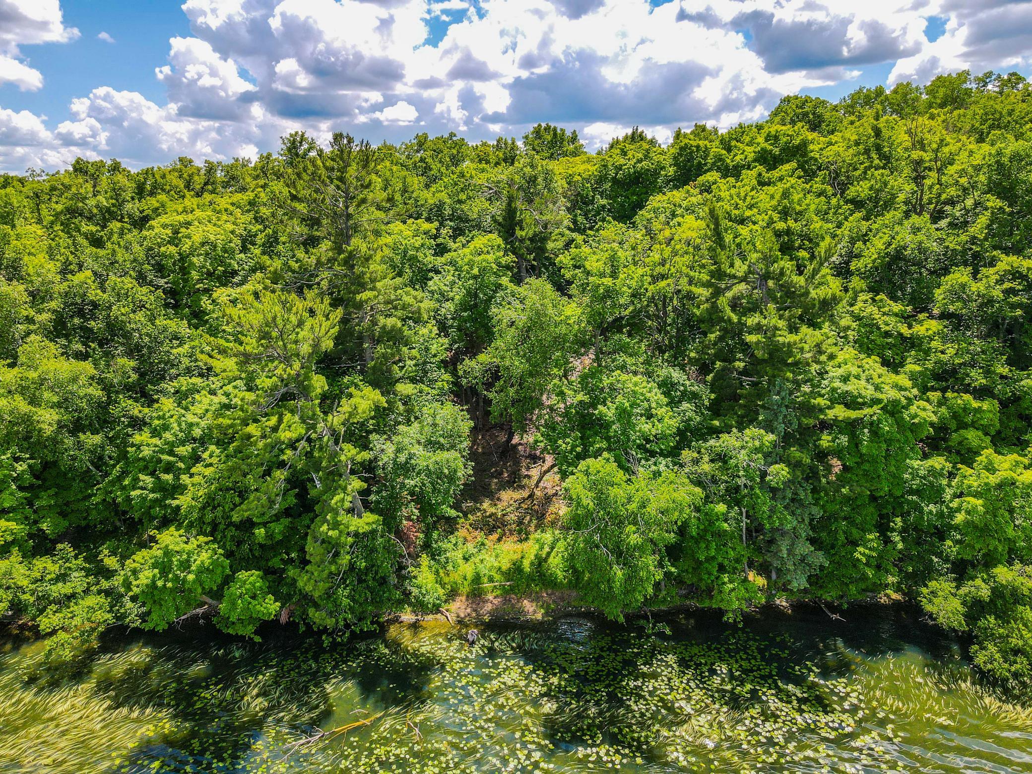 44698 Idas Road, Osage MN 56570 - Photo 6 of 8