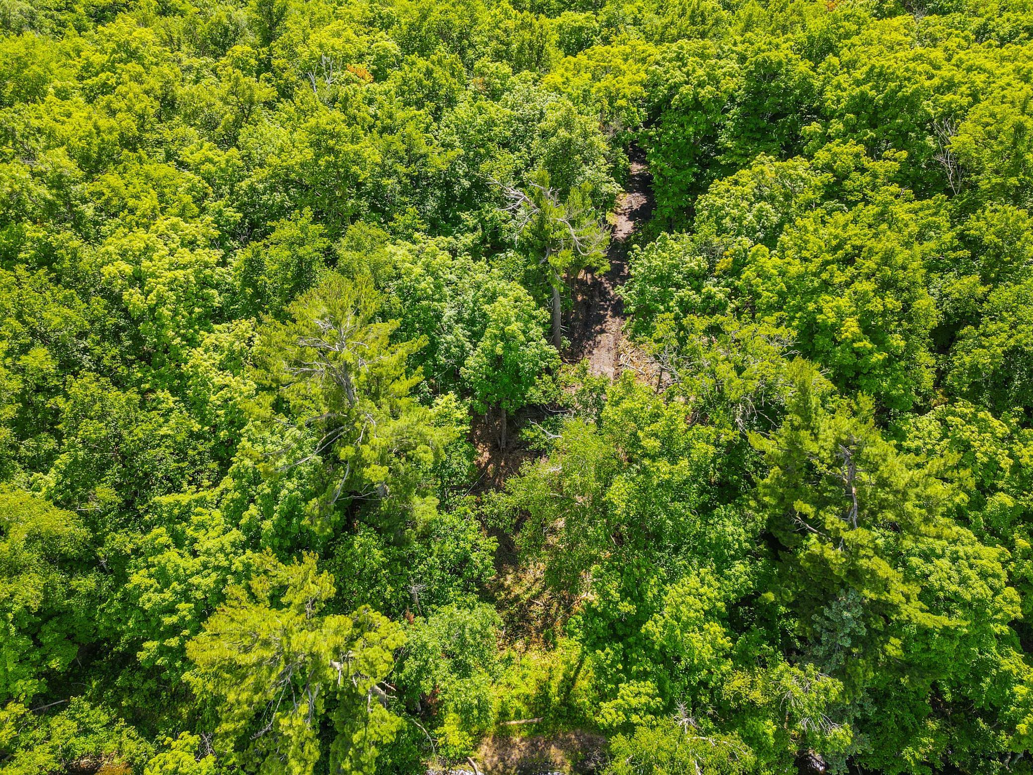 land for sale at 44698 Idas Road in Osage, MN (photo 15 of 18)