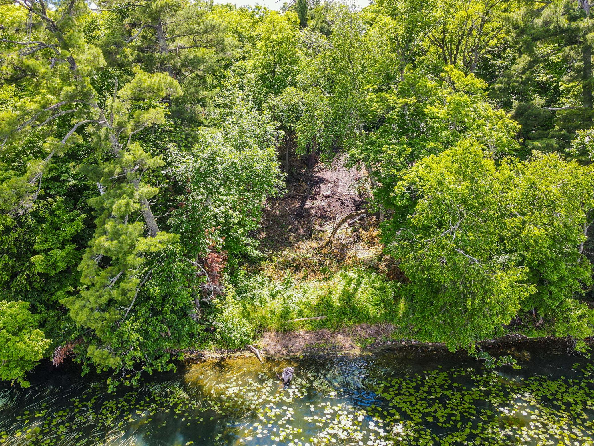 44698 Idas Road, Osage MN 56570 - Photo 7 of 8
