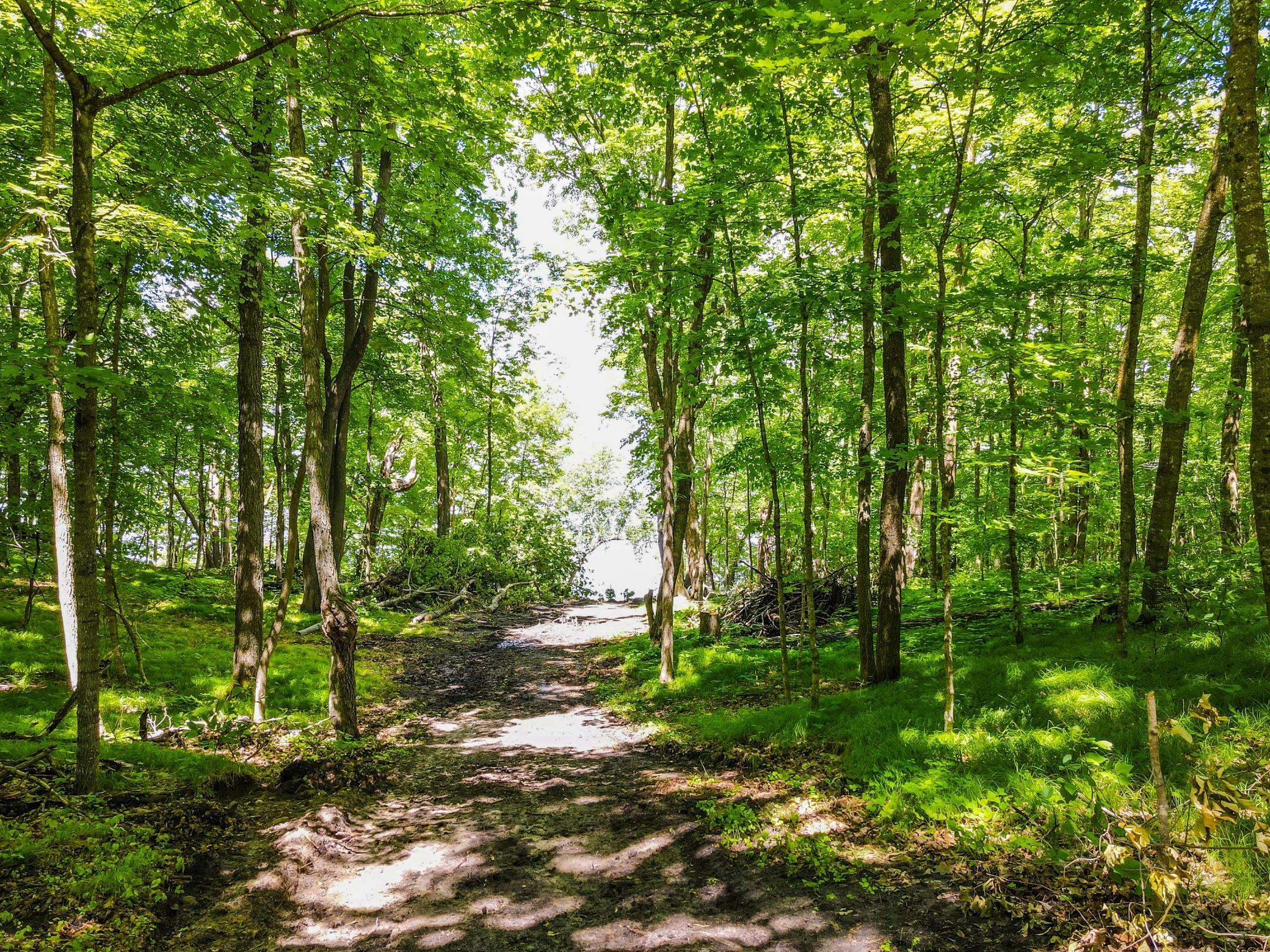 land for sale at 44698 Idas Road in Osage, MN (photo 17 of 18)