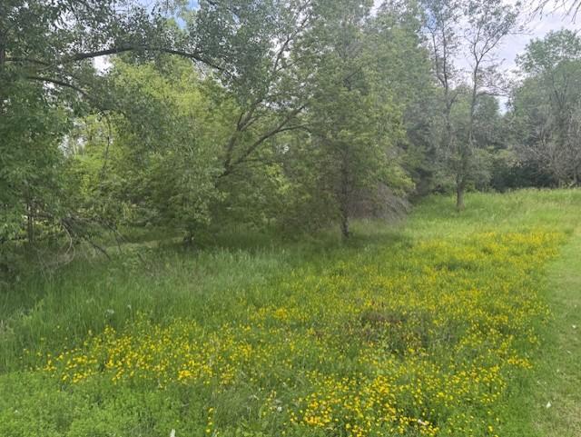 Lot 4, Block 4 Circle Drive NW, Alexandria MN 56308 - Photo 2 of 3
